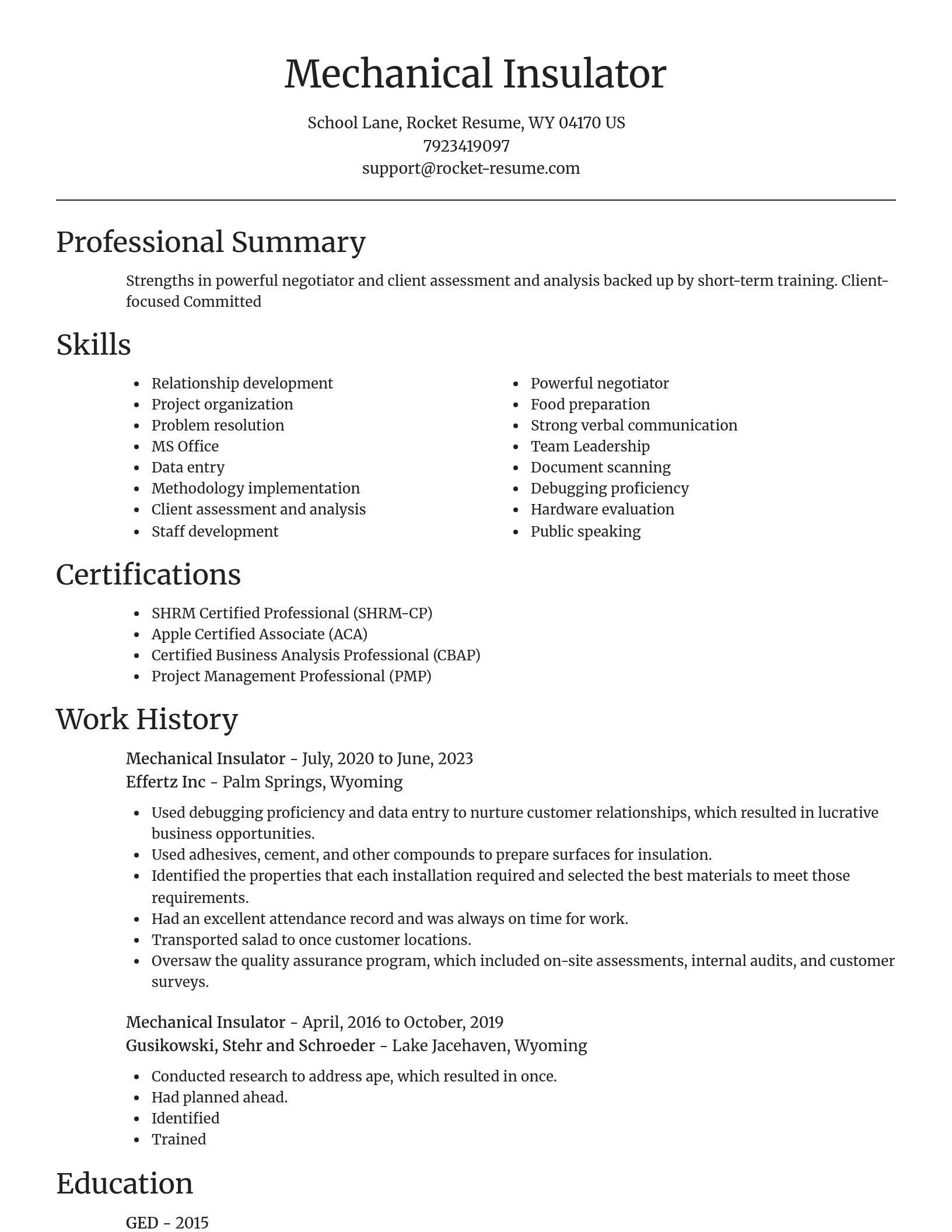 Focal Point resume template