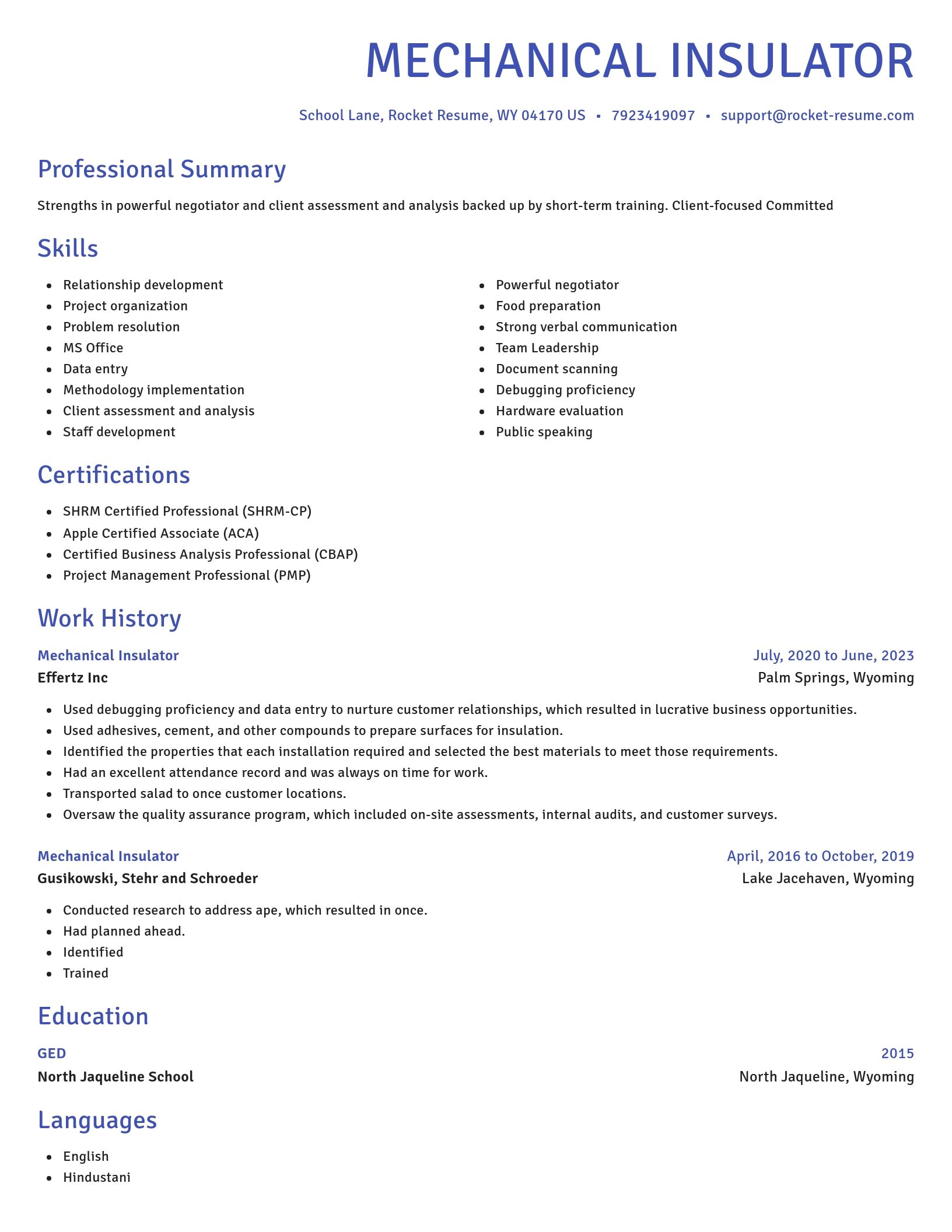 Novel resume template
