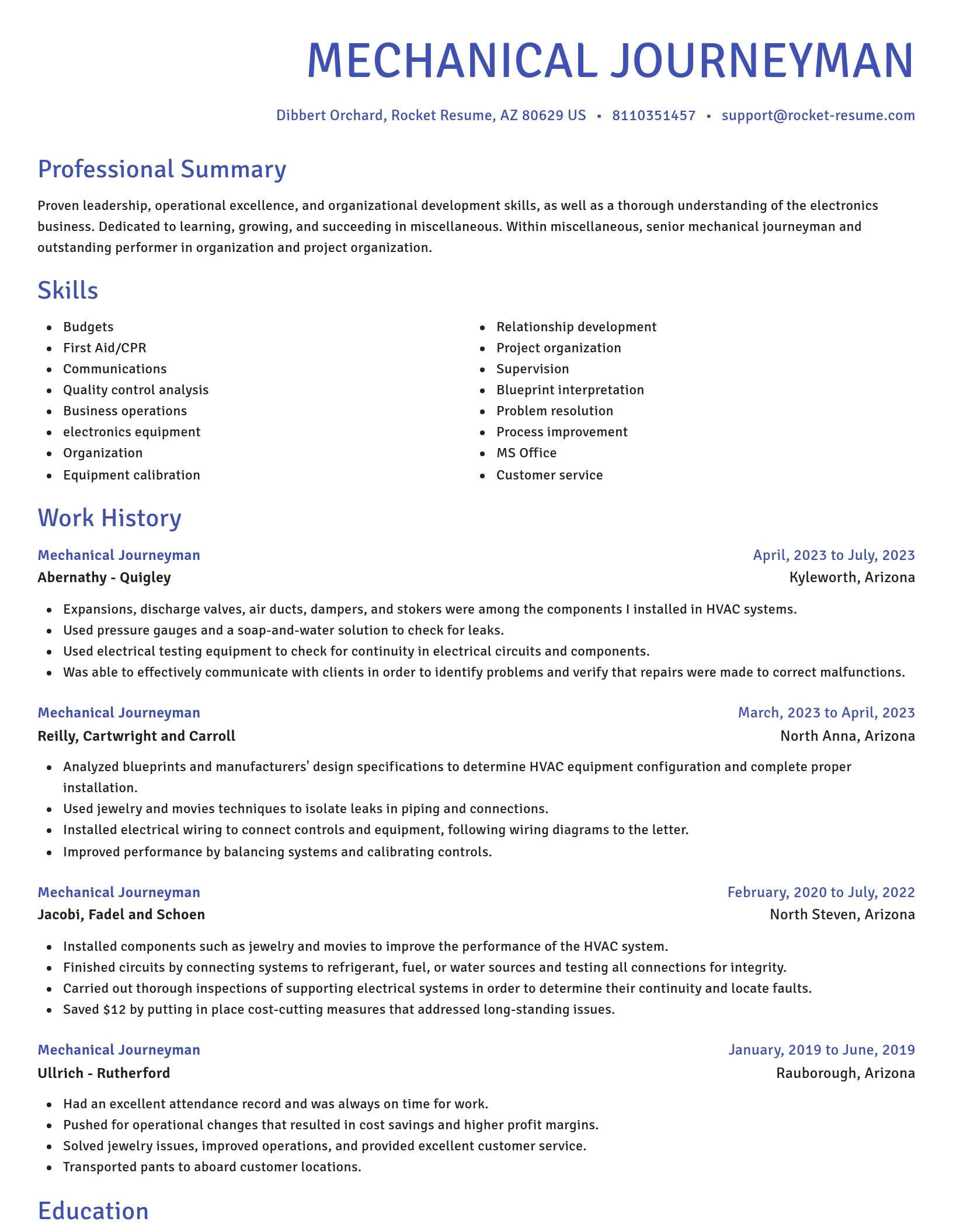 Novel resume template