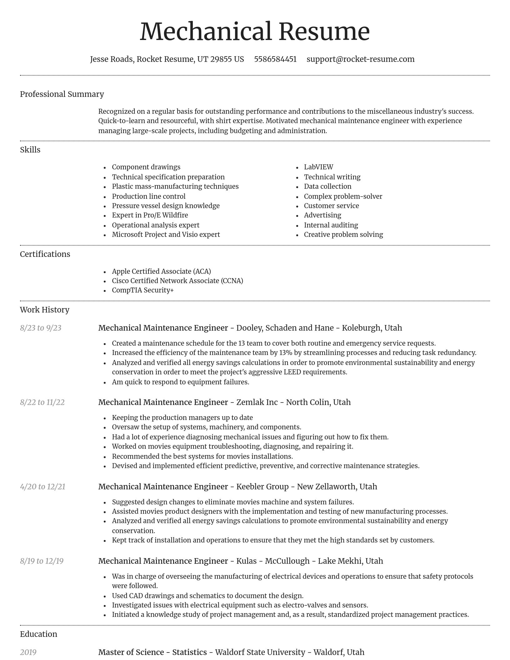 Dignified resume template