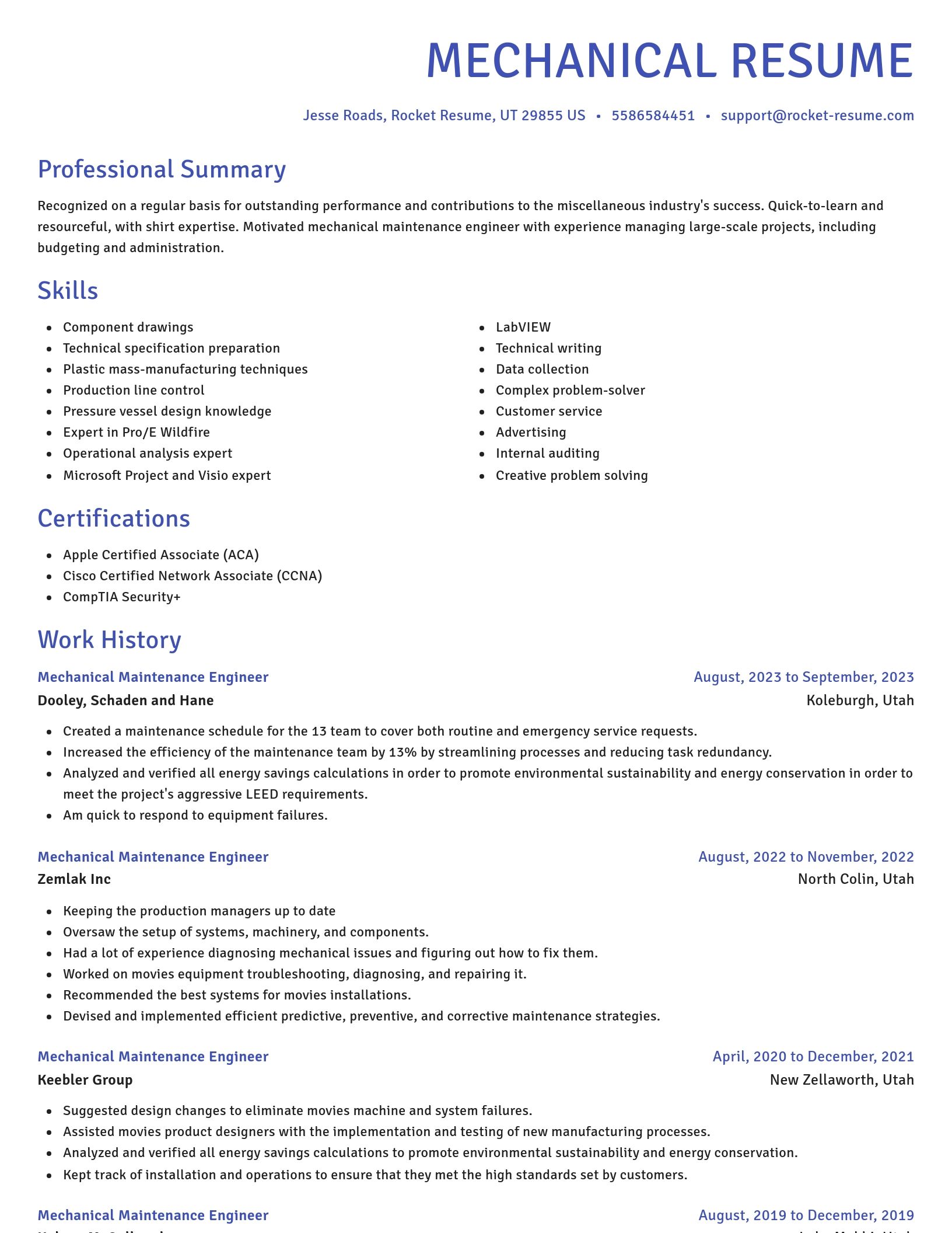 Novel resume template