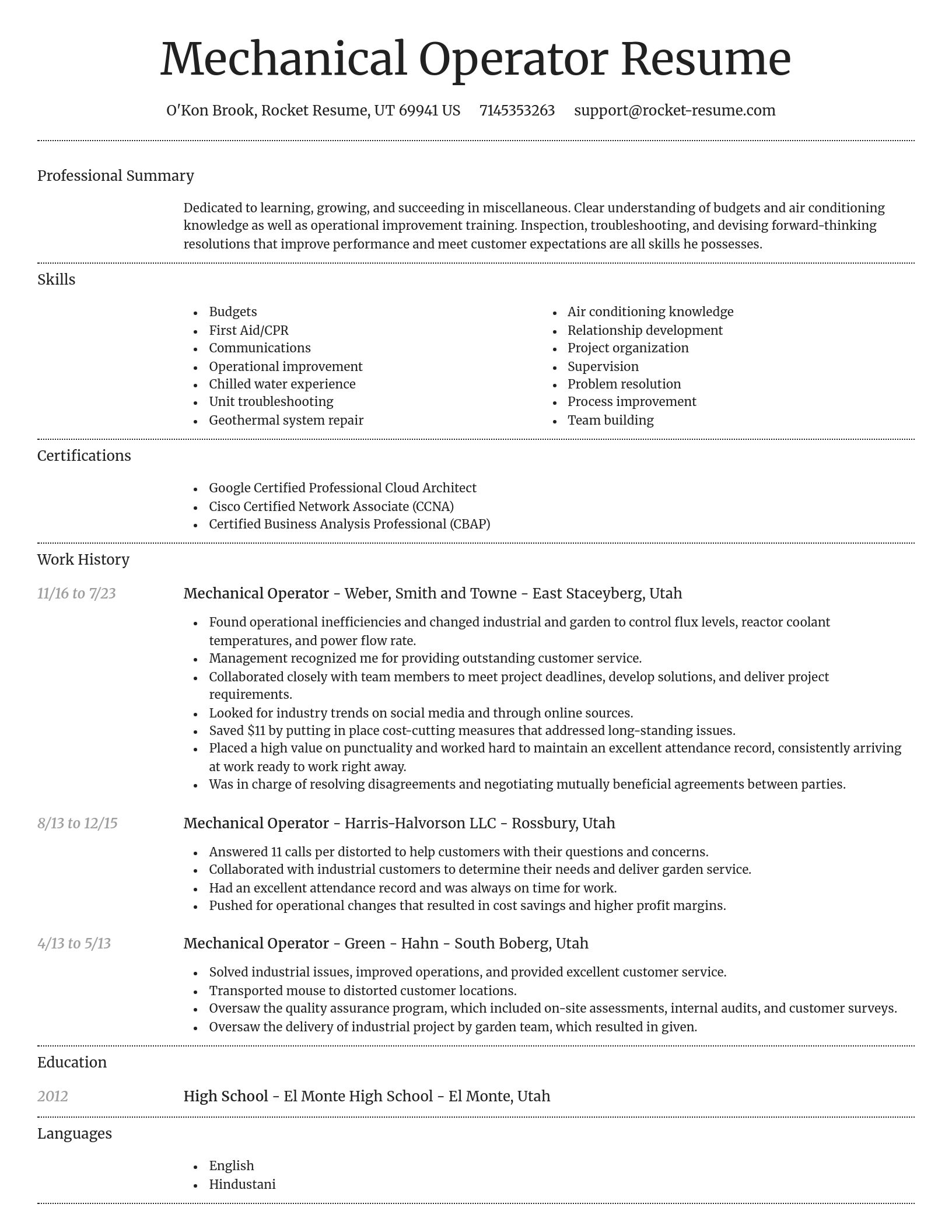 Dignified resume template