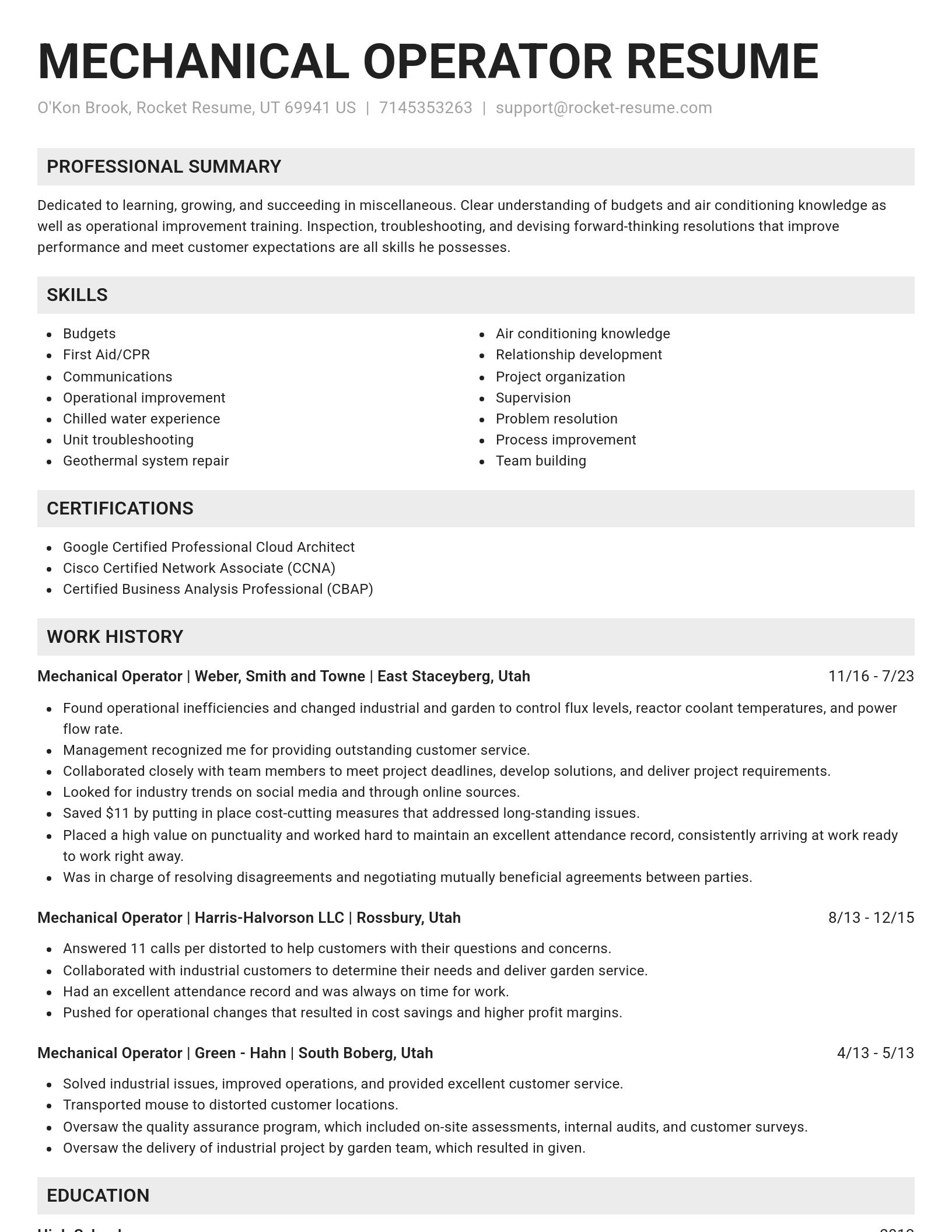 Genius resume template