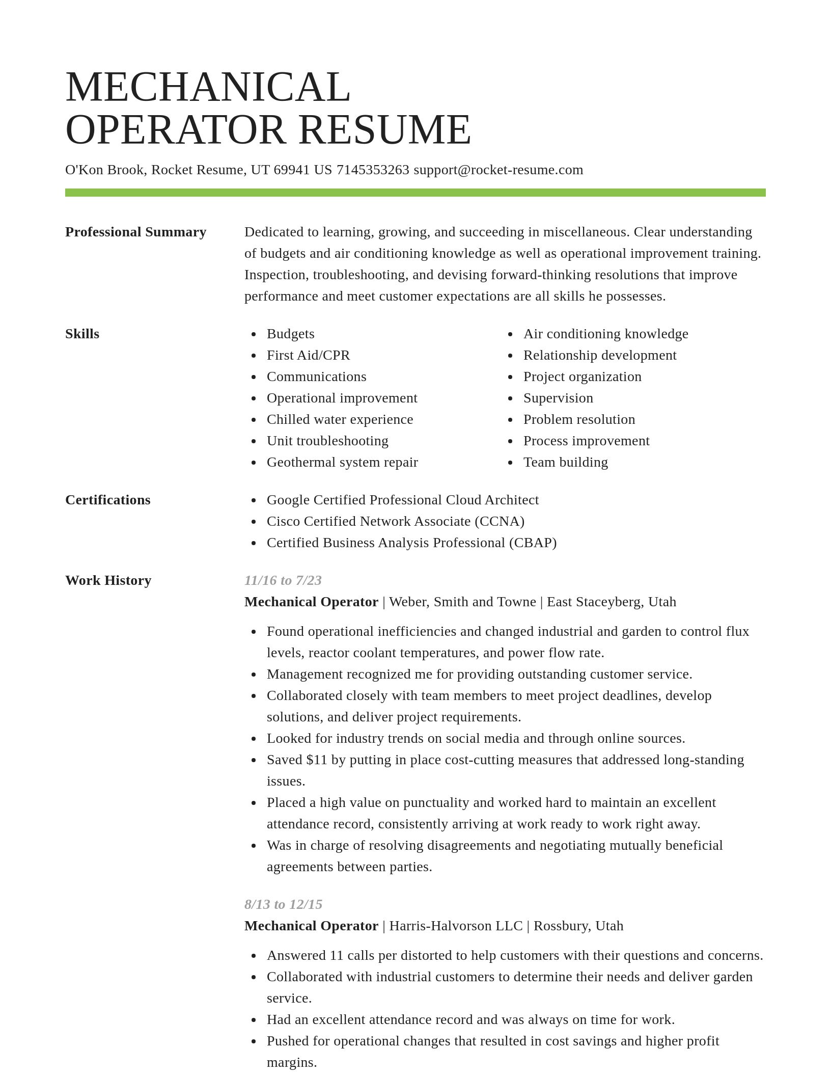 Smart resume template