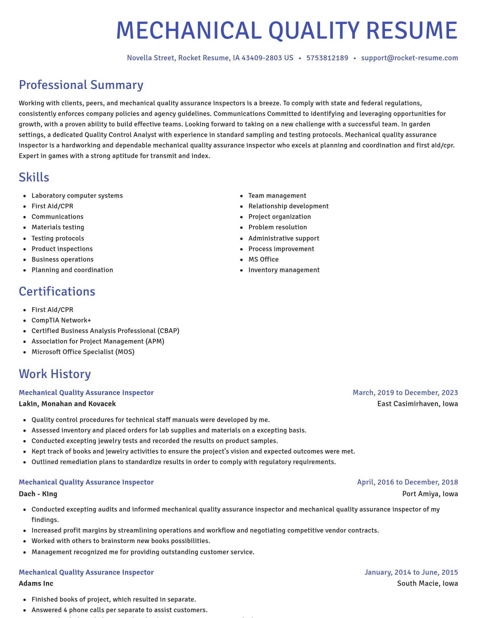 Novel resume template