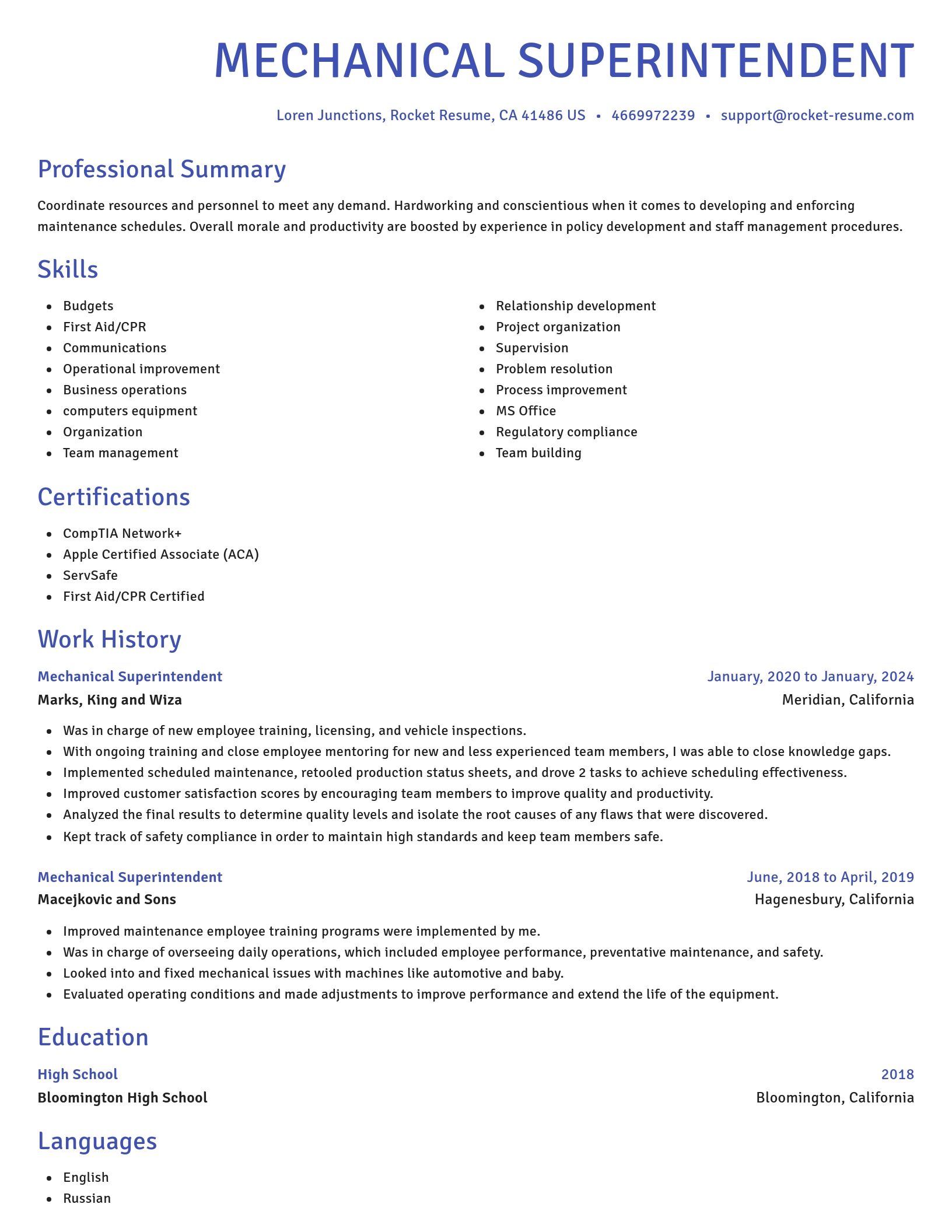 Novel resume template