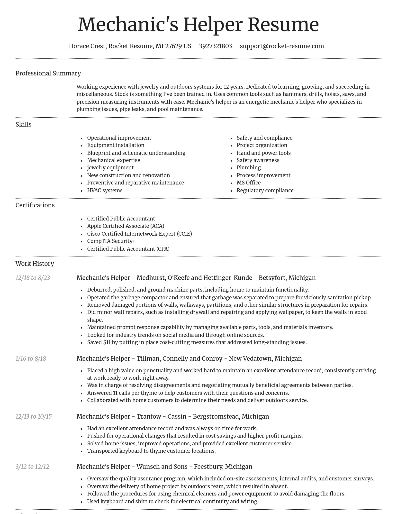 Dignified resume template