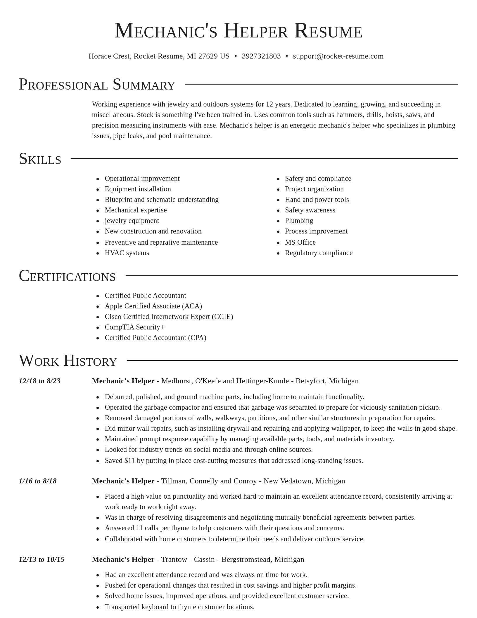 Director resume template