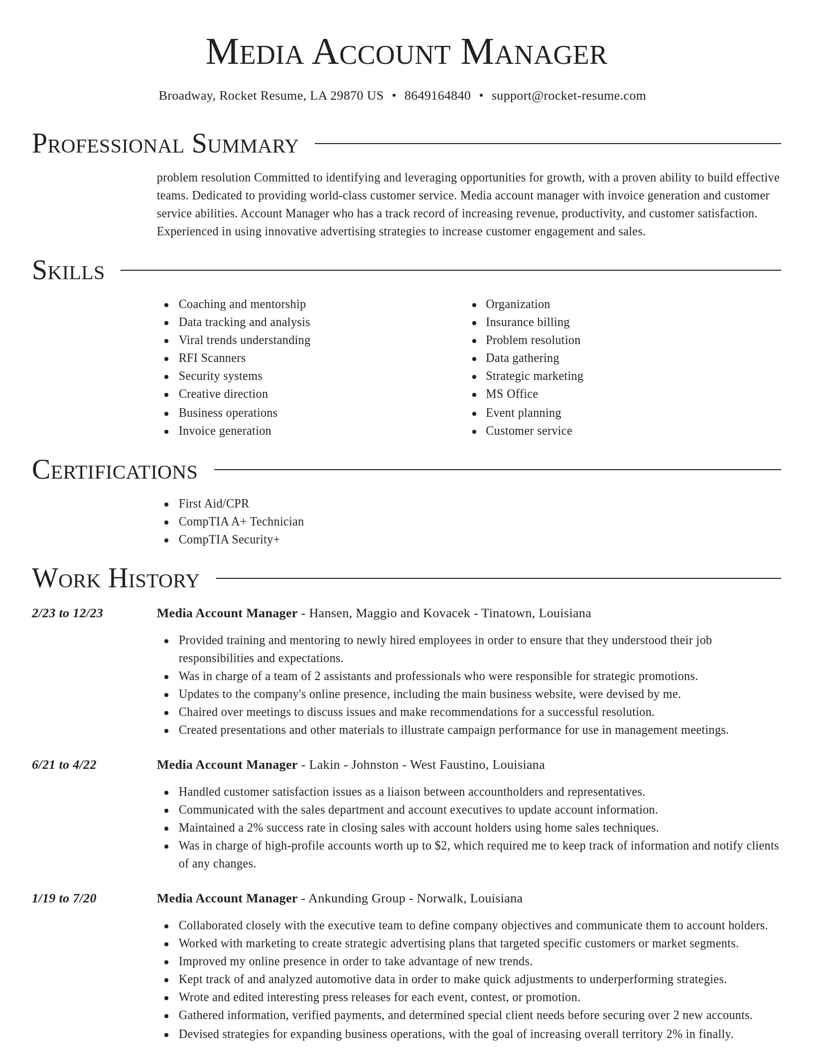 Director resume template