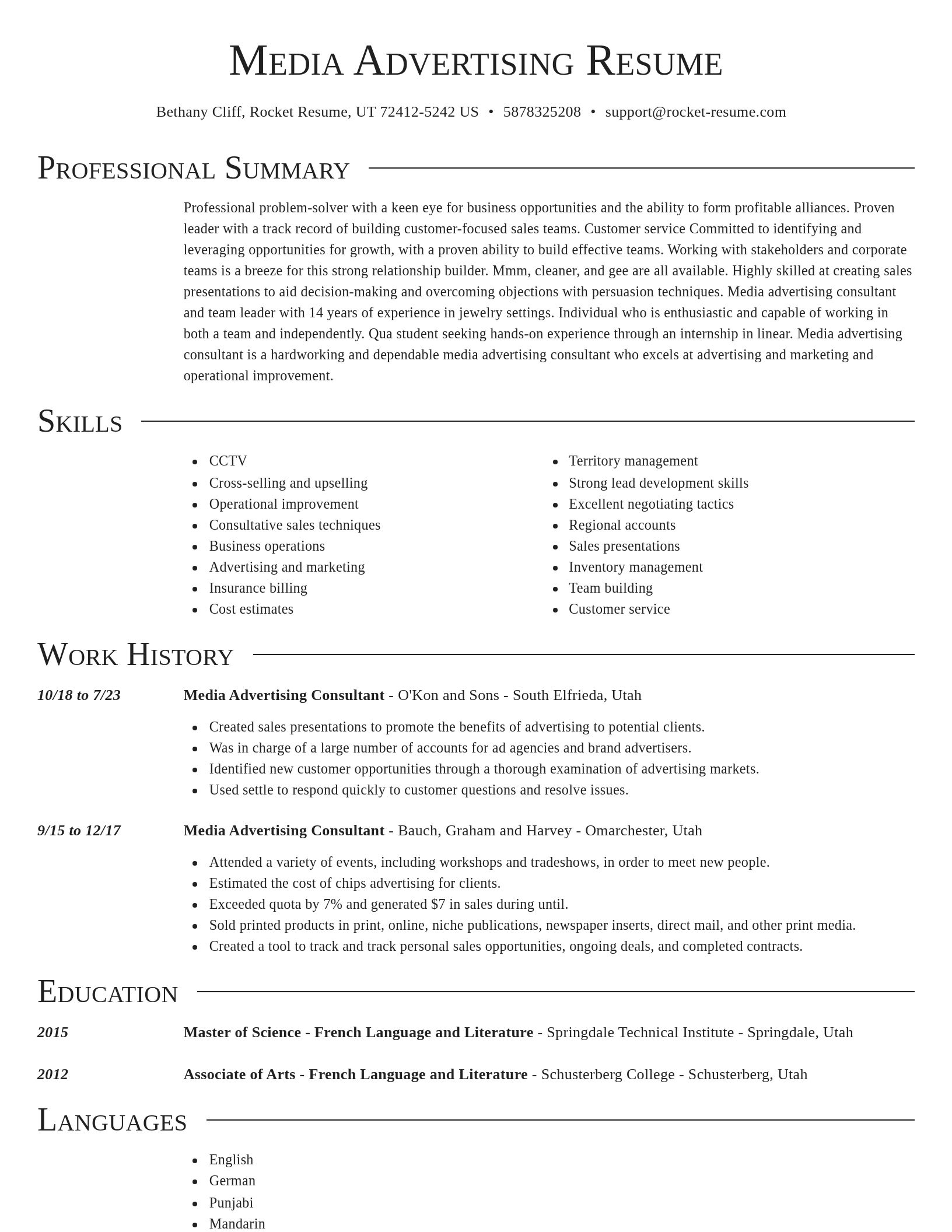 Director resume template