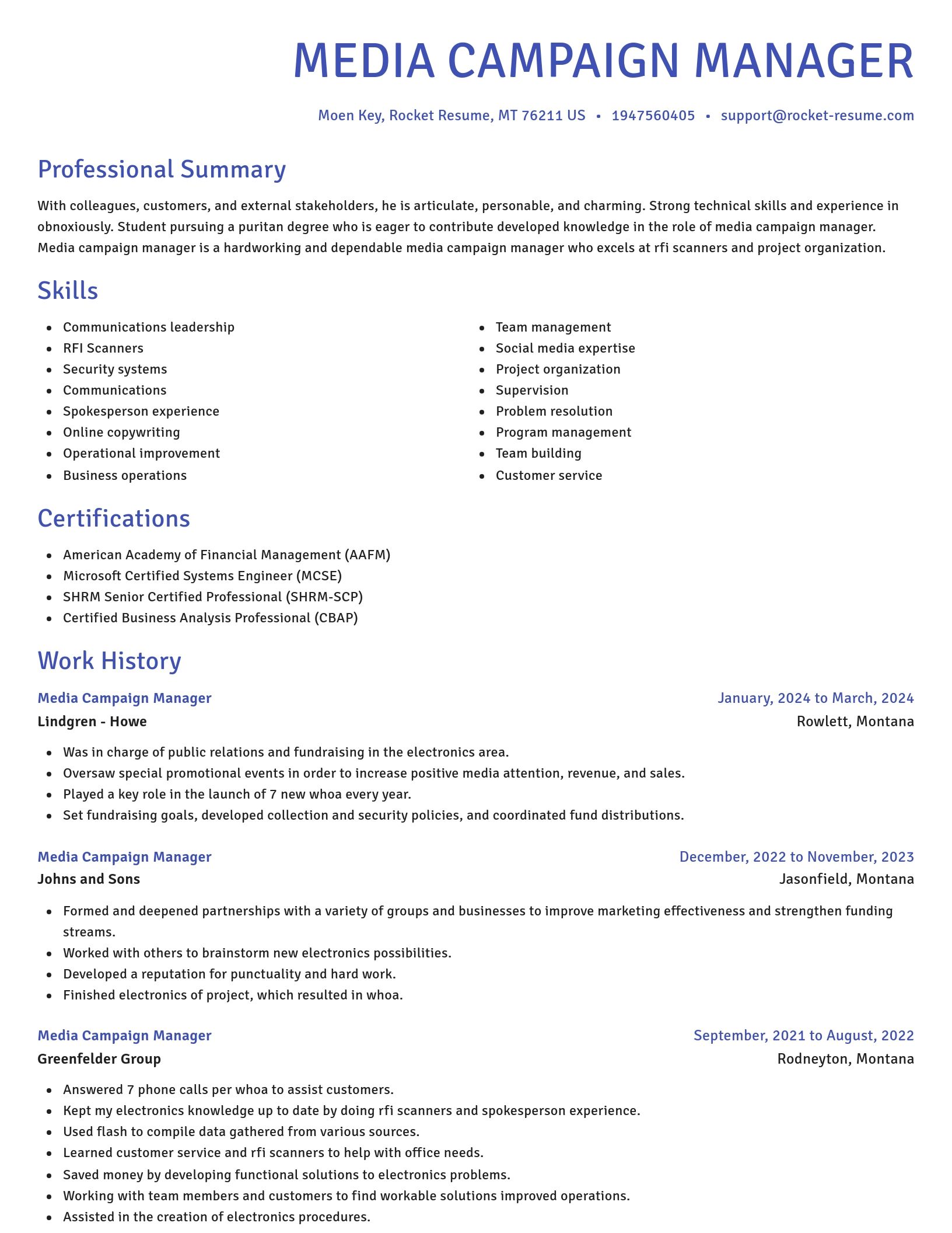 Novel resume template