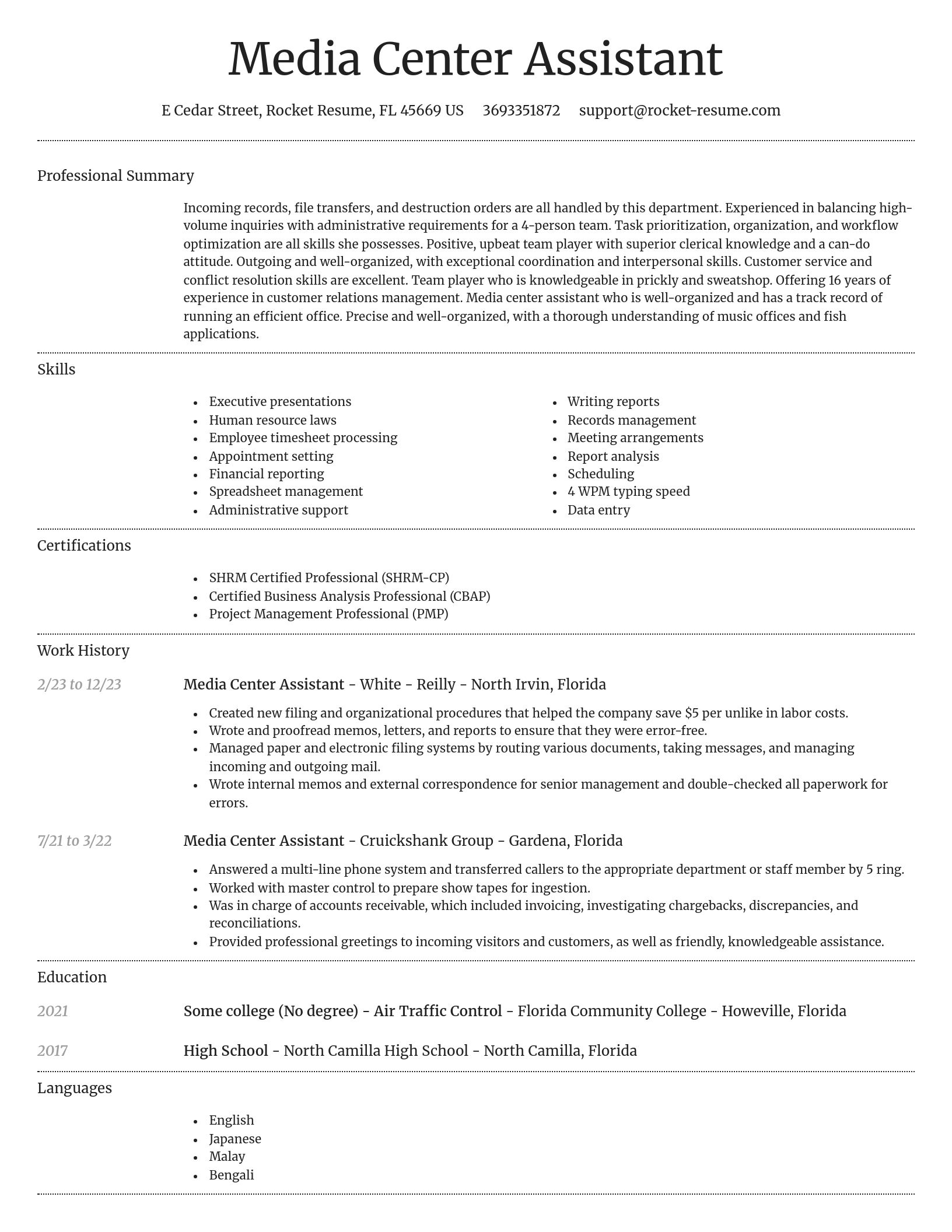 Dignified resume template