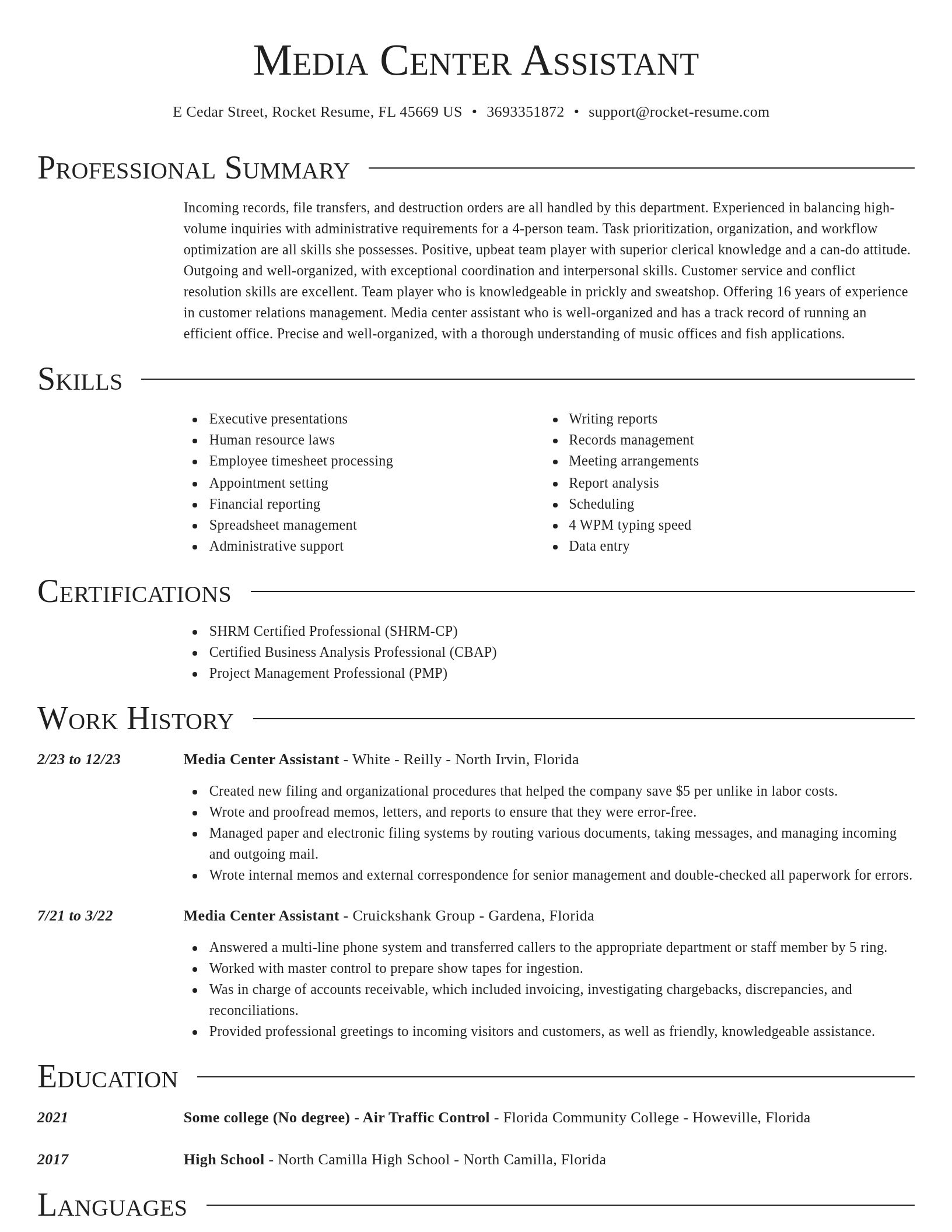 Director resume template