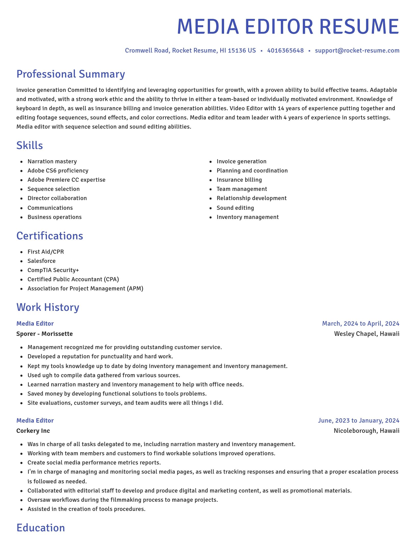 Novel resume template