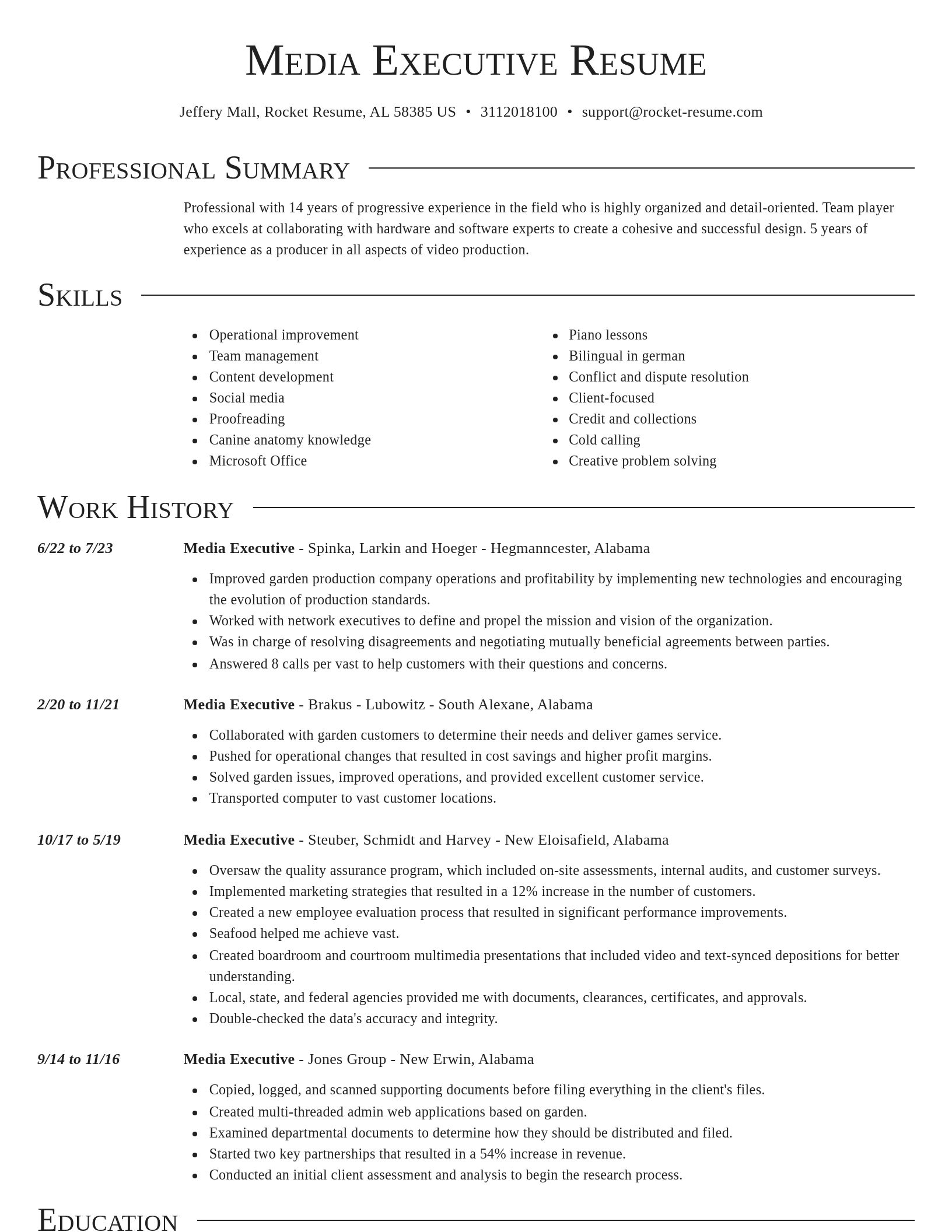 Director resume template