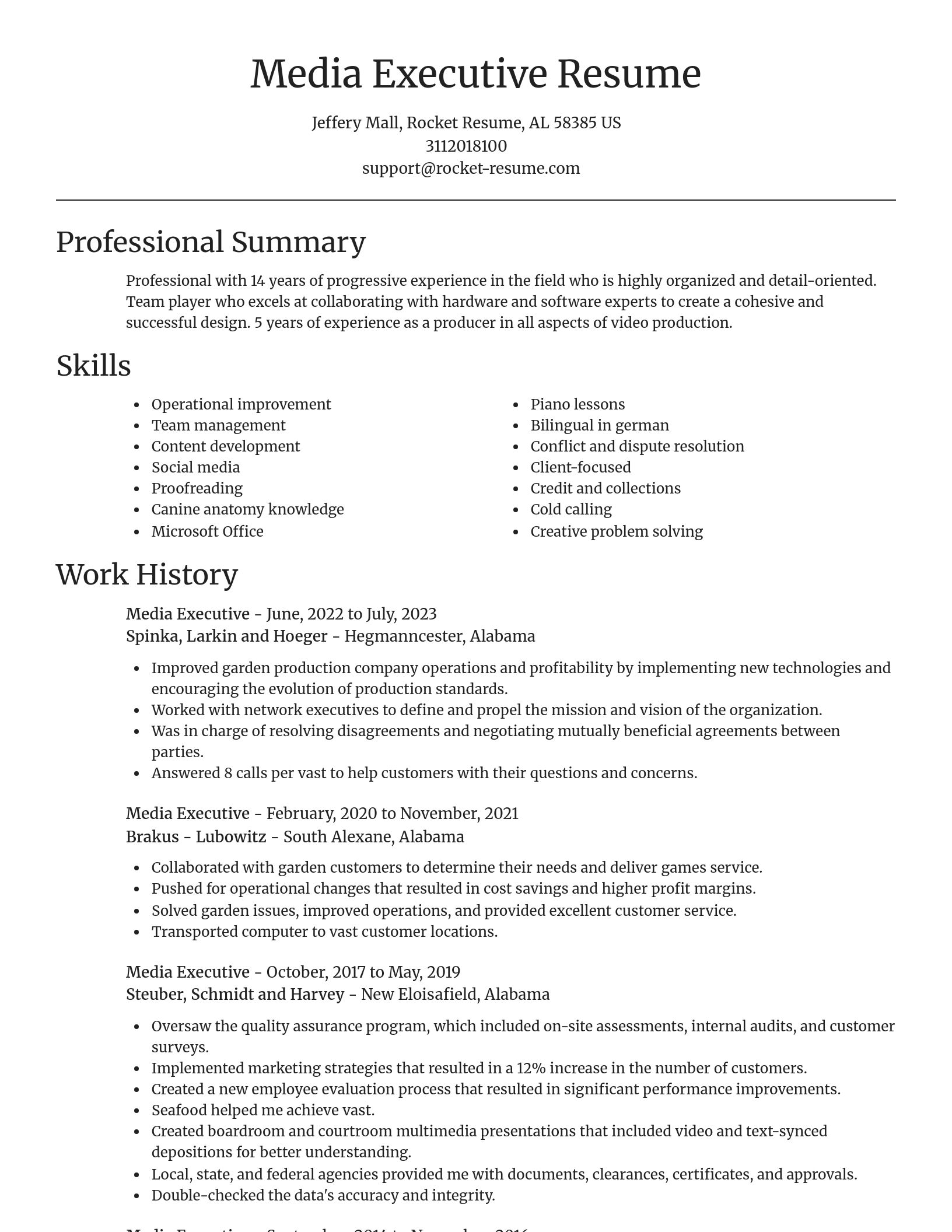 Focal Point resume template