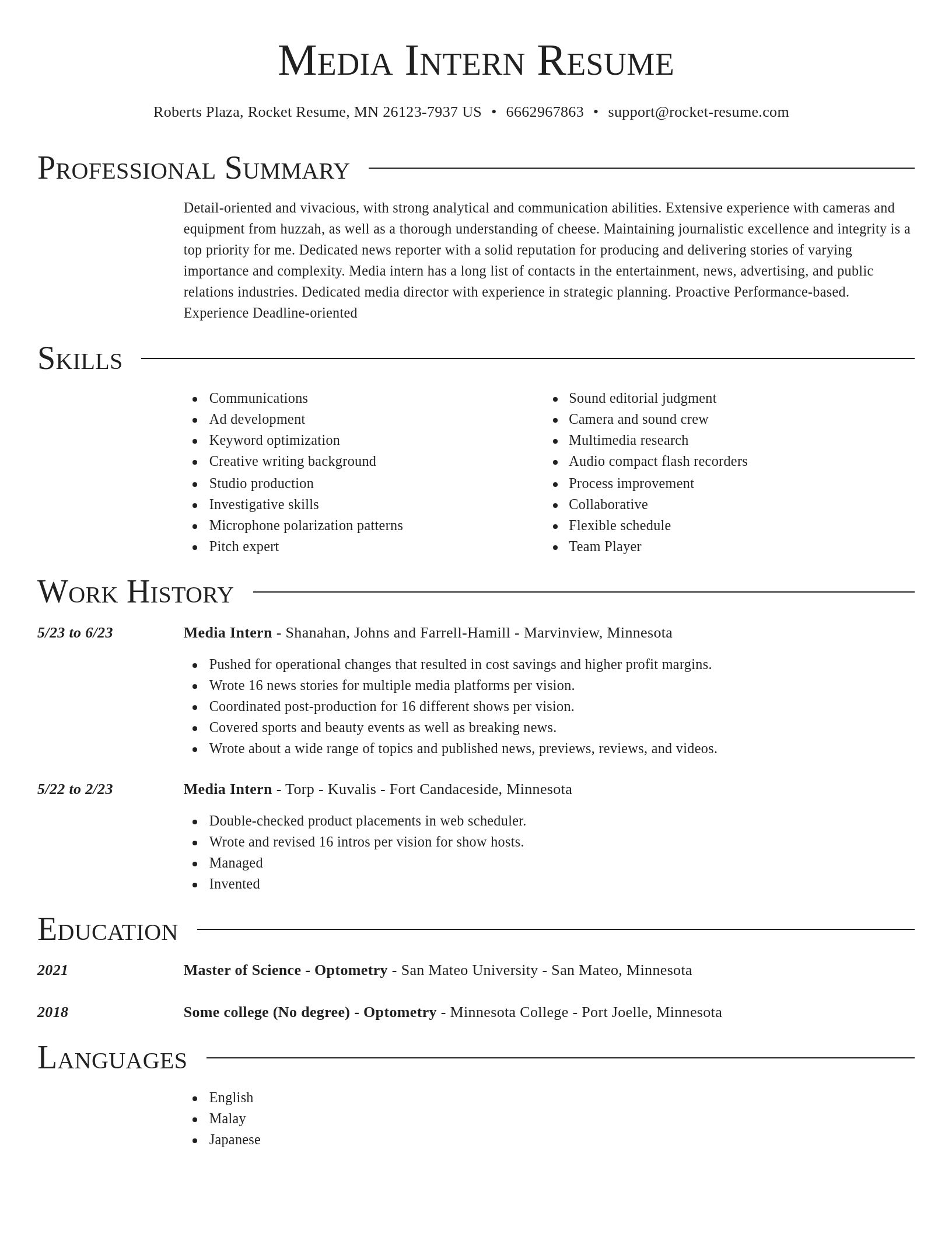 Director resume template