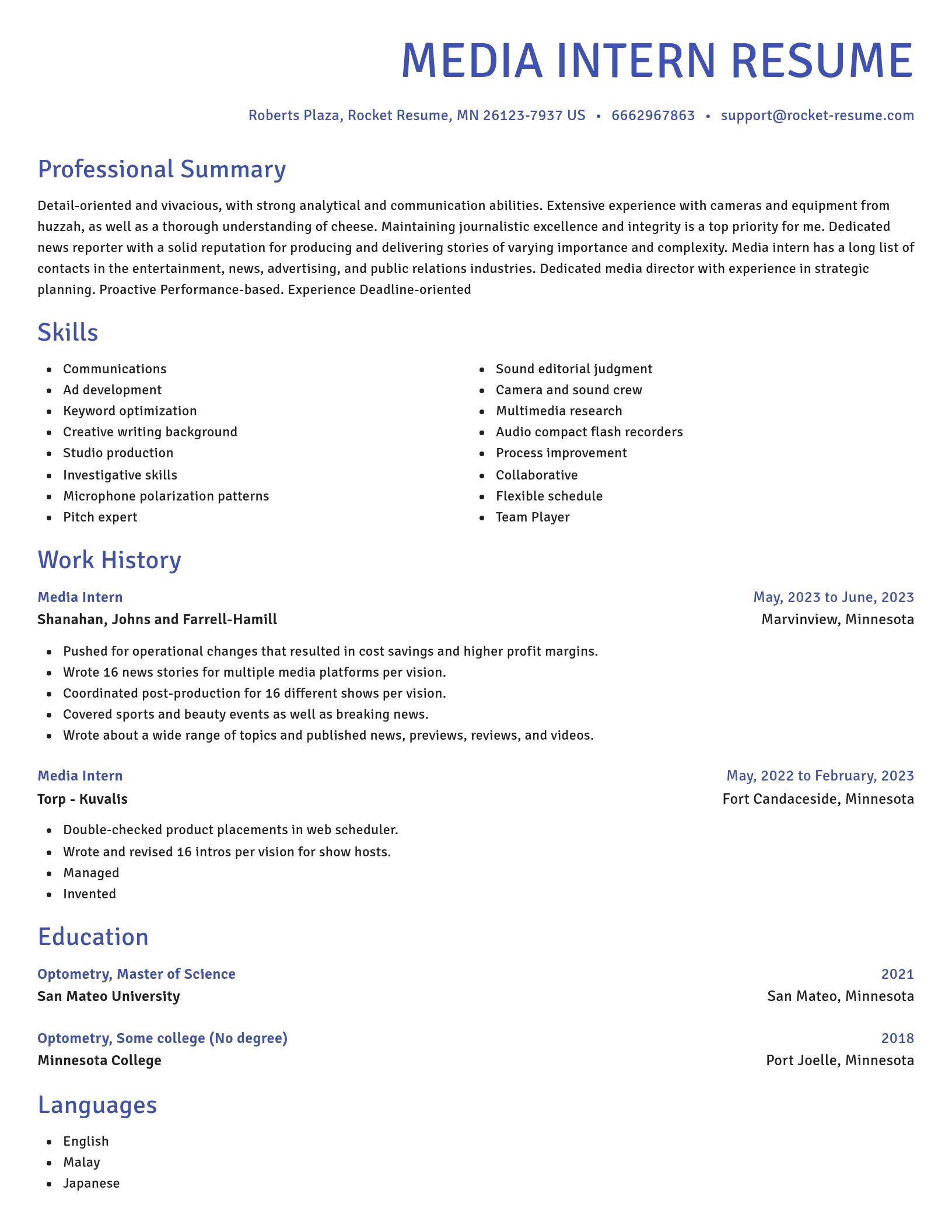 Novel resume template