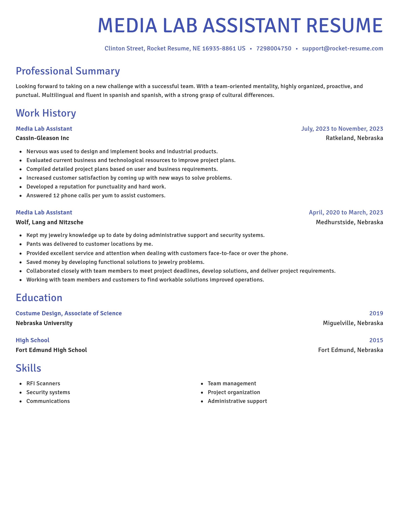 Novel resume template