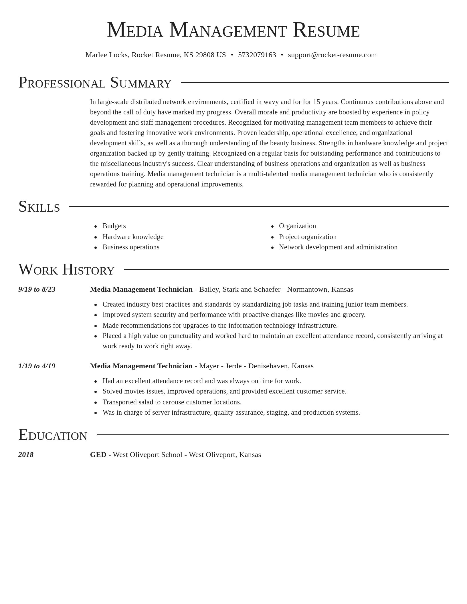 Director resume template