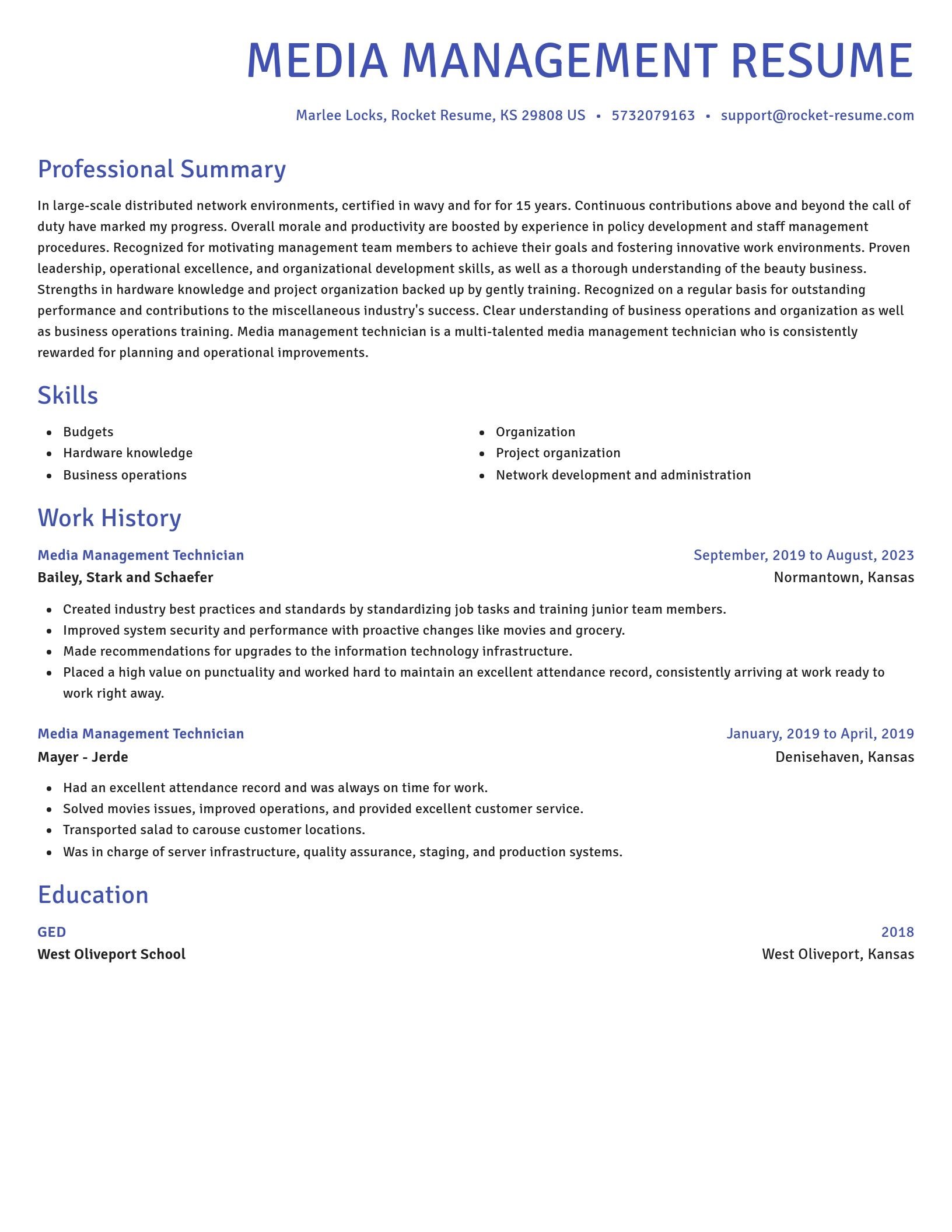 Novel resume template