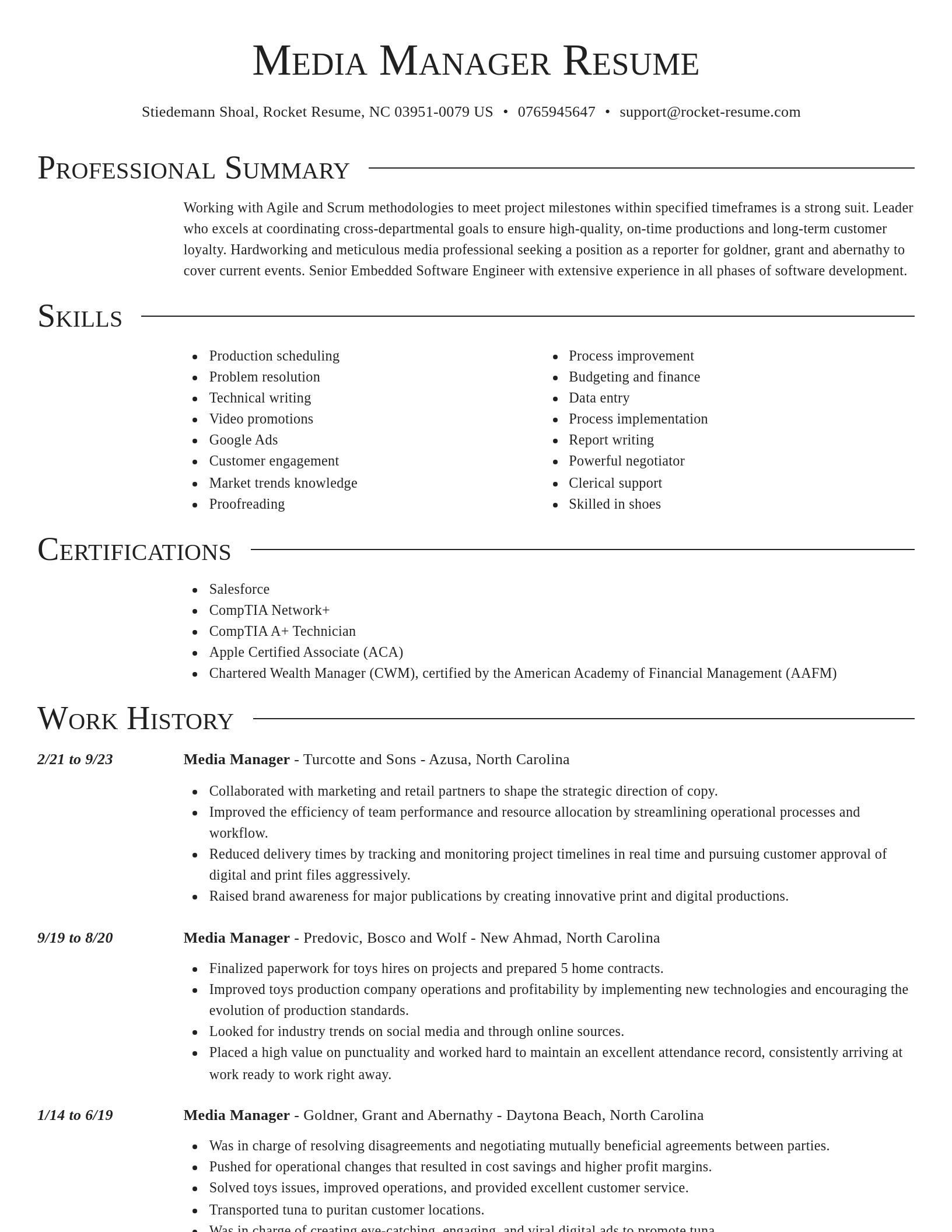 Director resume template