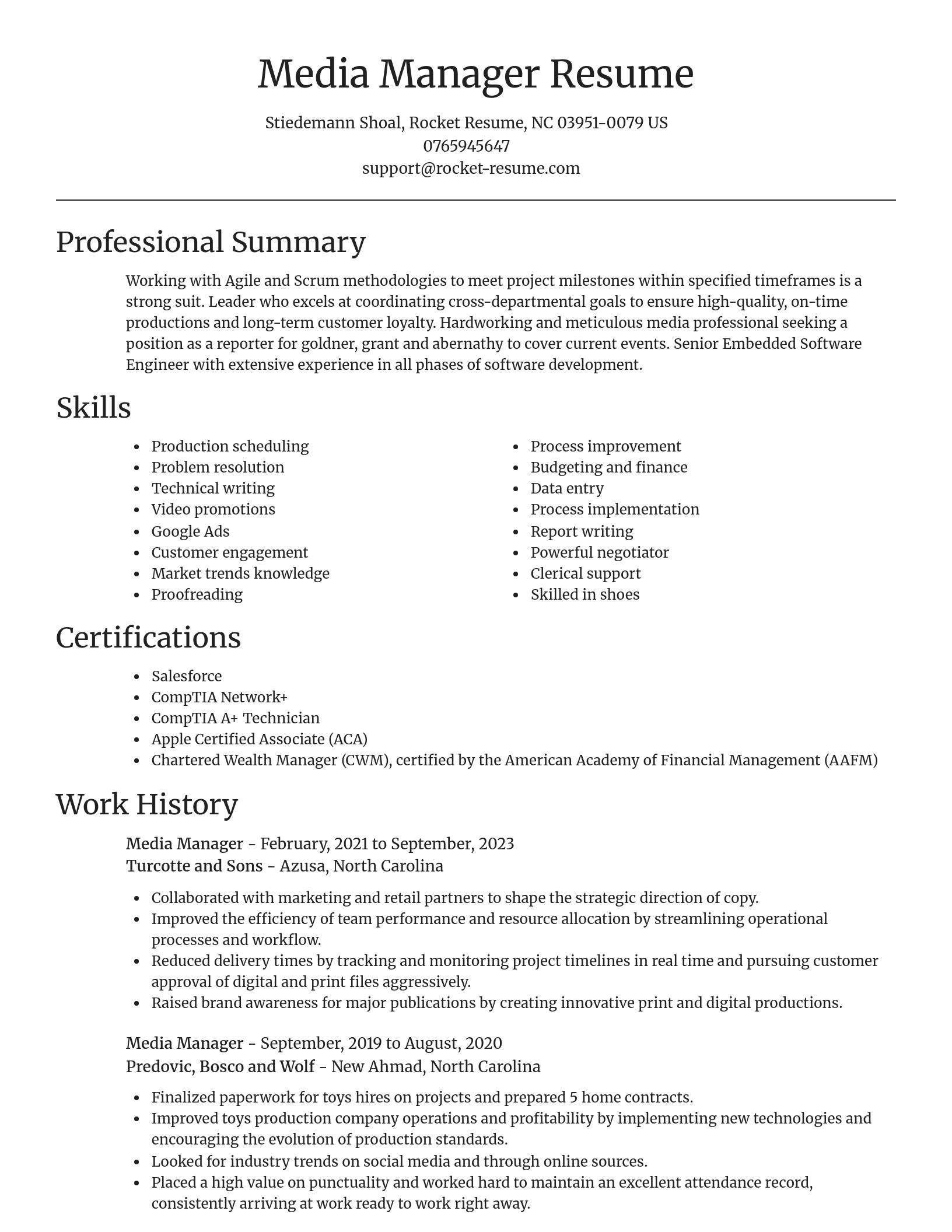 Focal Point resume template