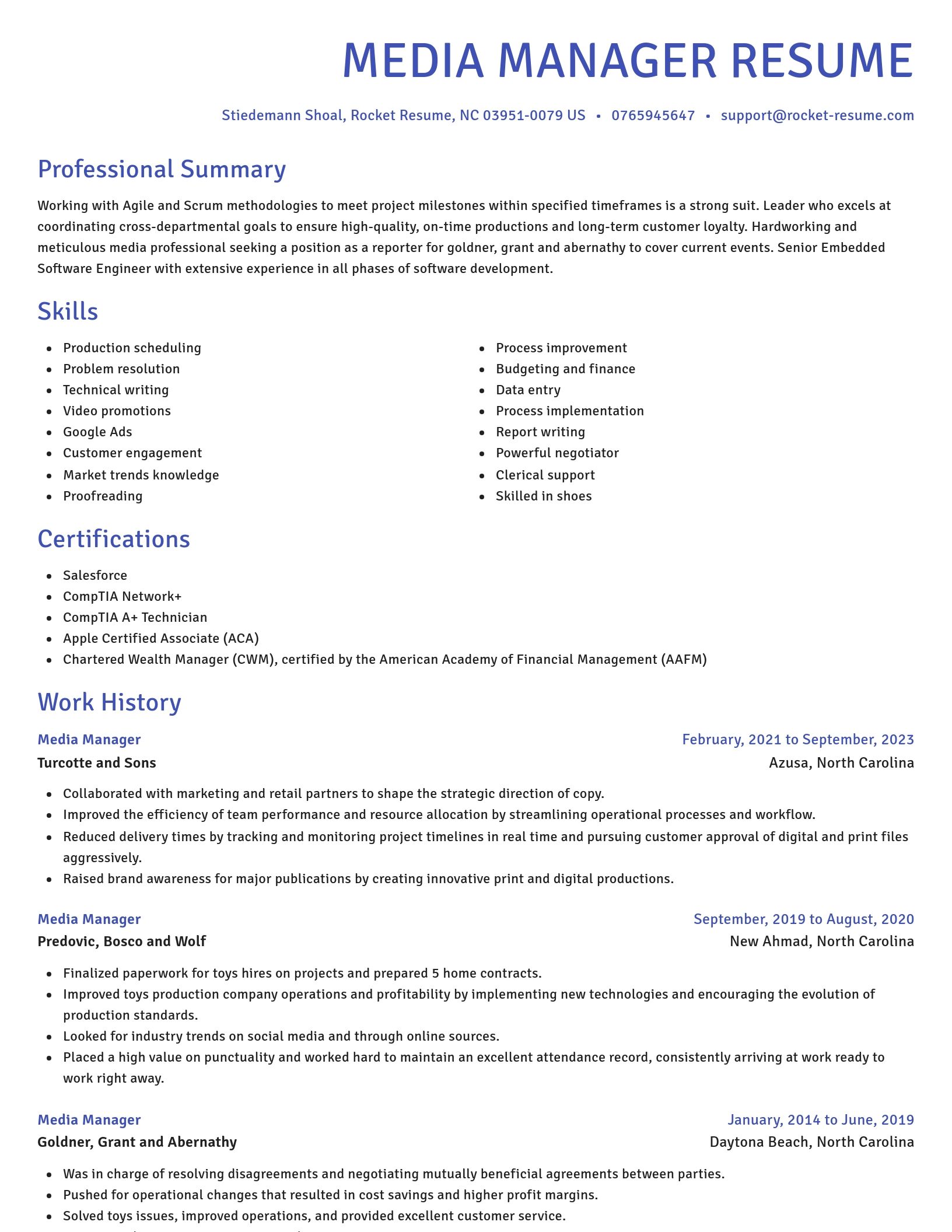 Novel resume template