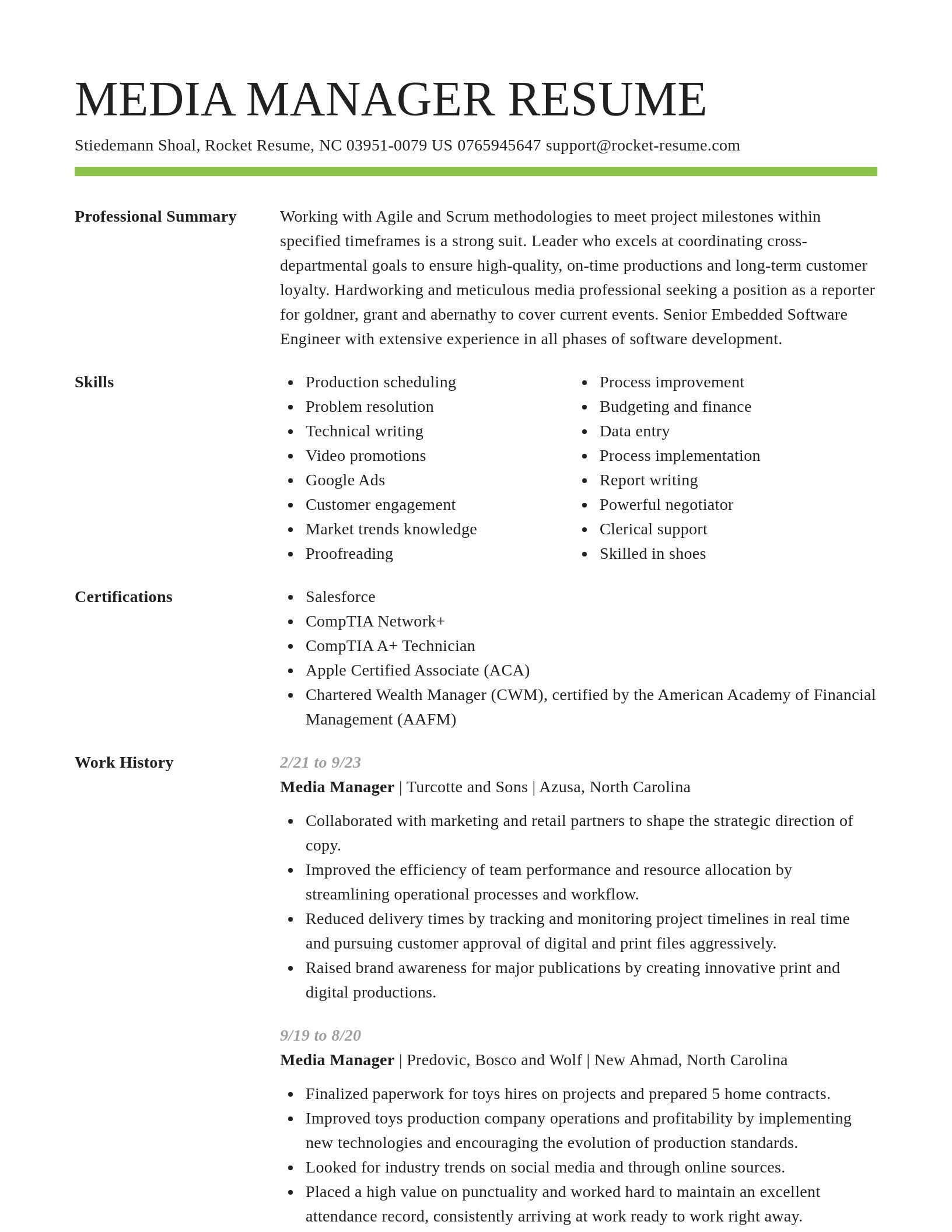 Smart resume template