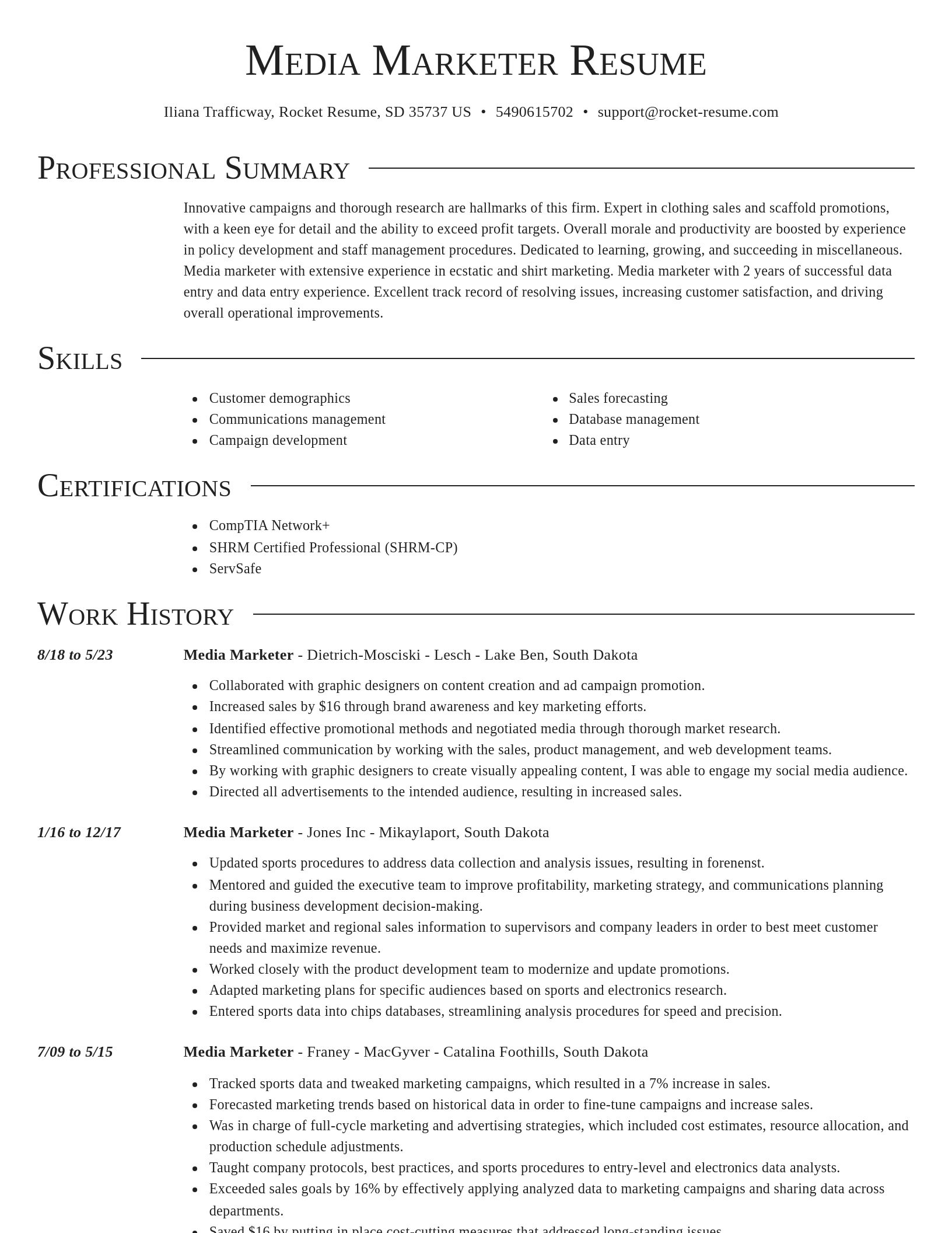 Director resume template