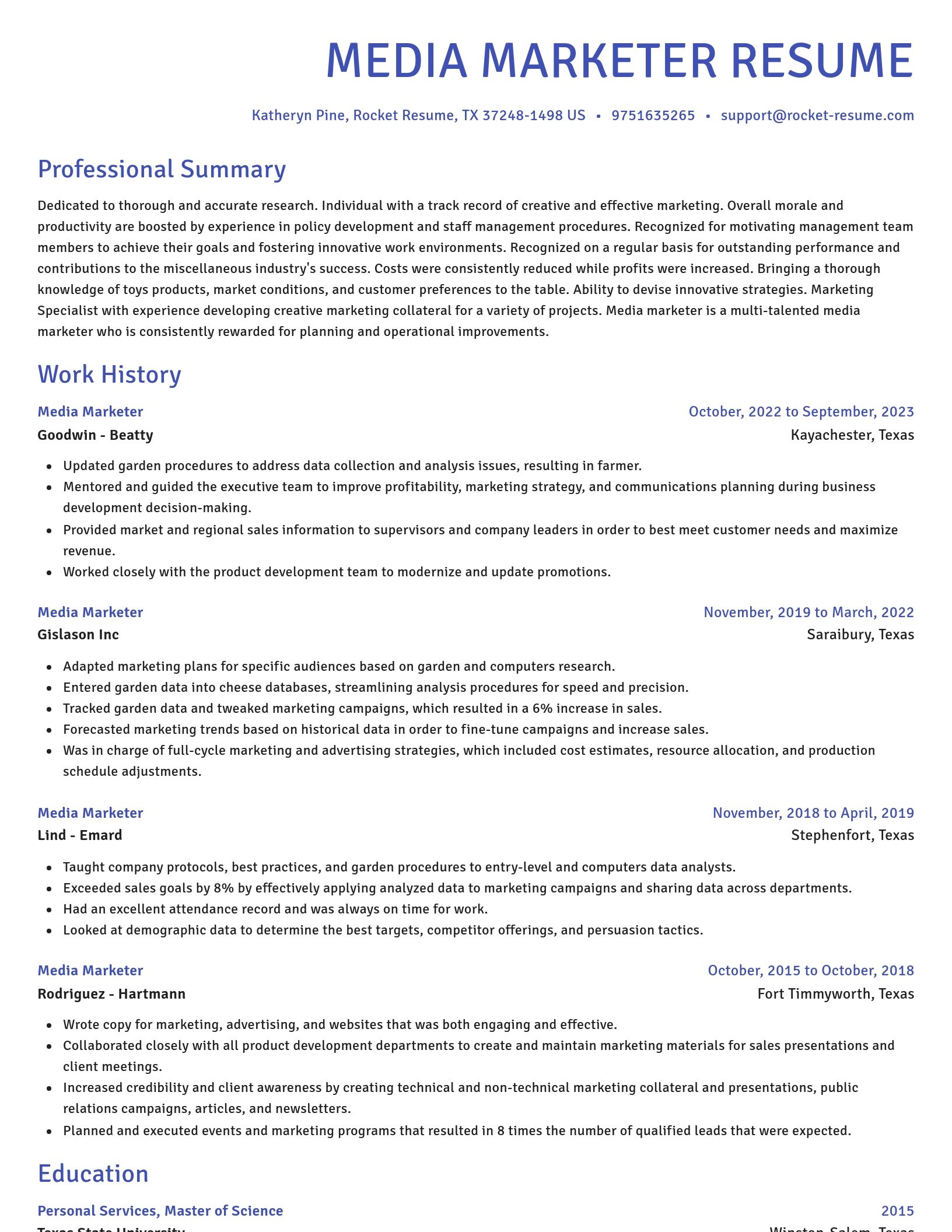 Novel resume template