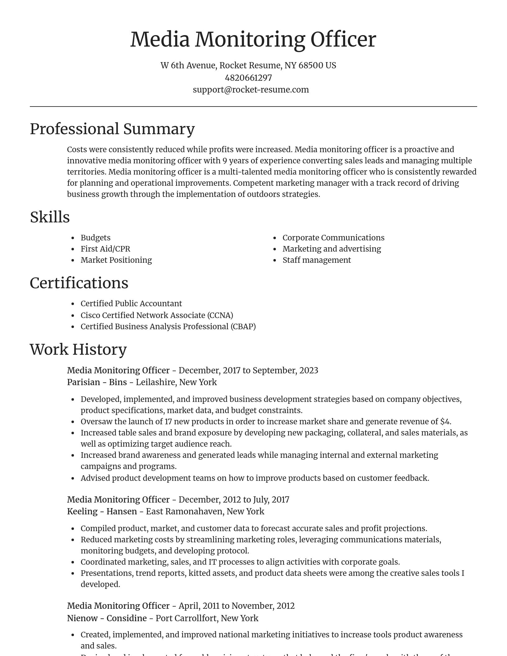 Focal Point resume template