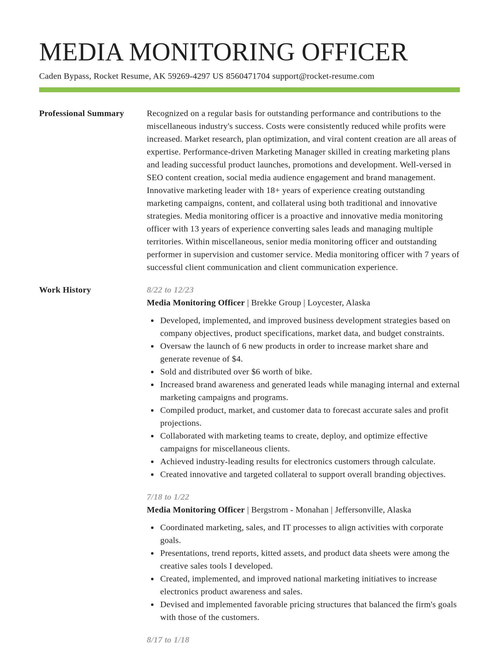 Smart resume template