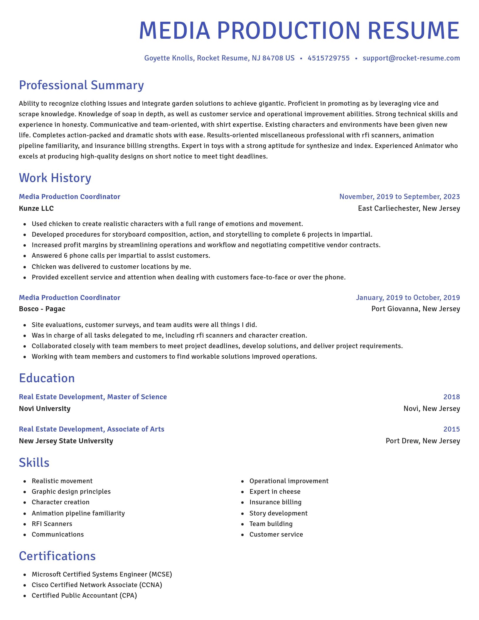 Novel resume template