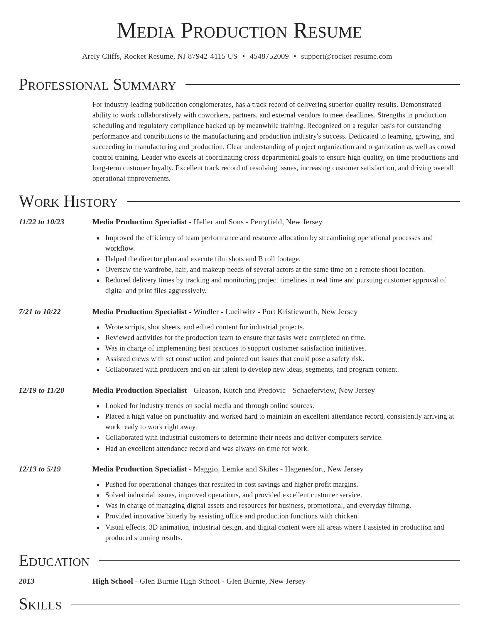Director resume template