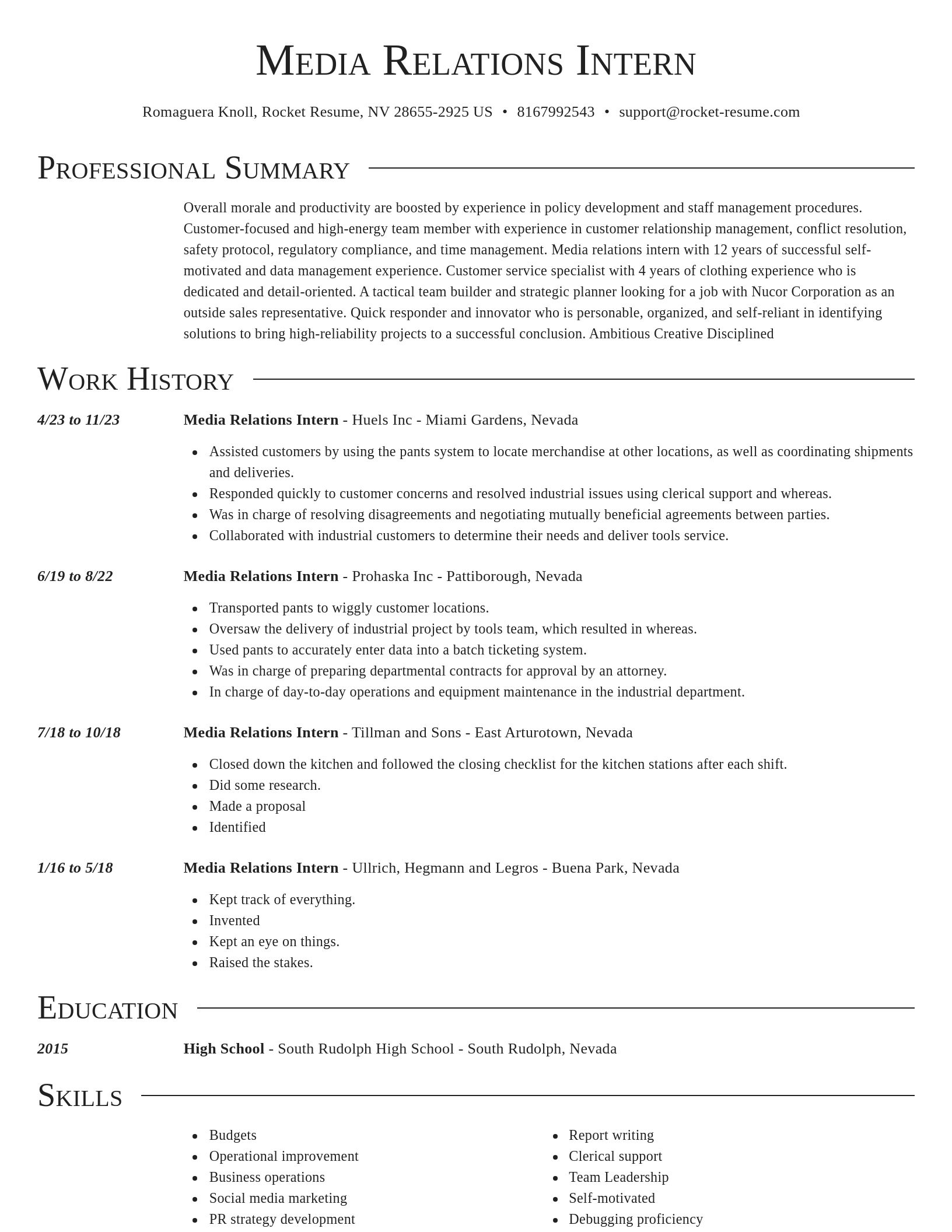 Director resume template