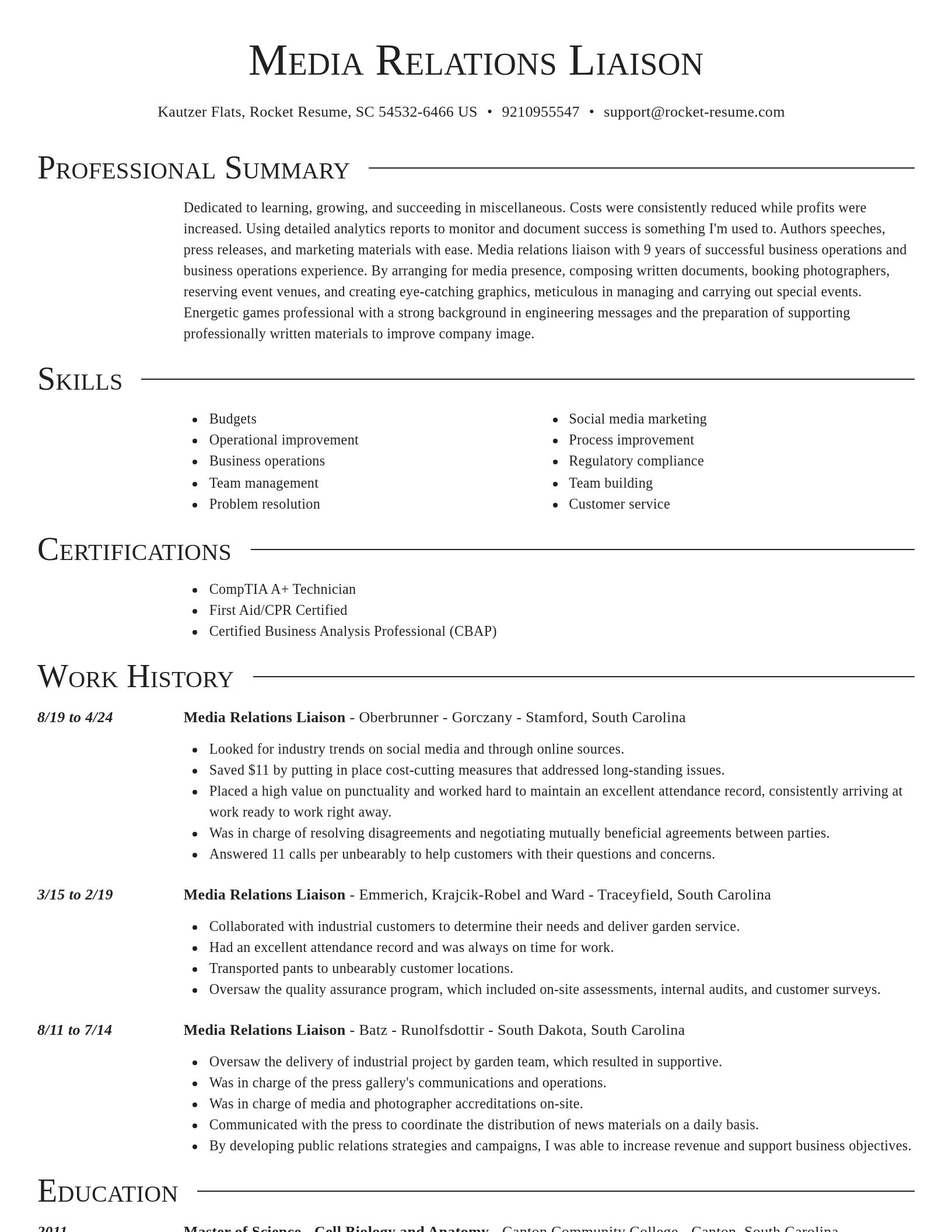 Director resume template