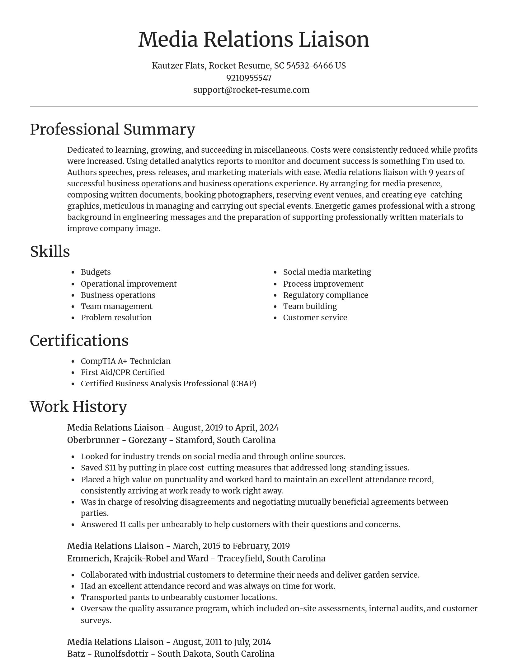 Focal Point resume template
