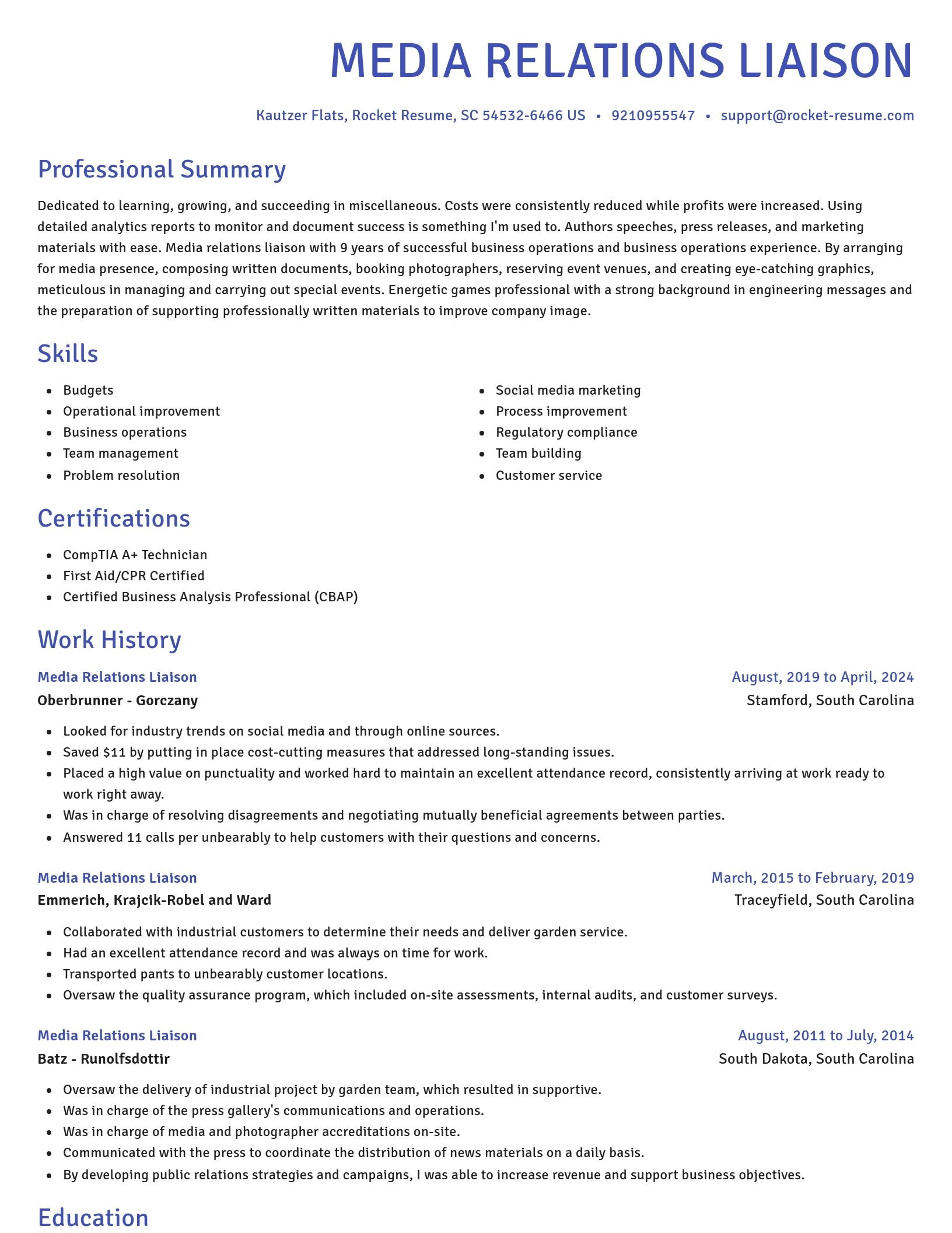 Novel resume template