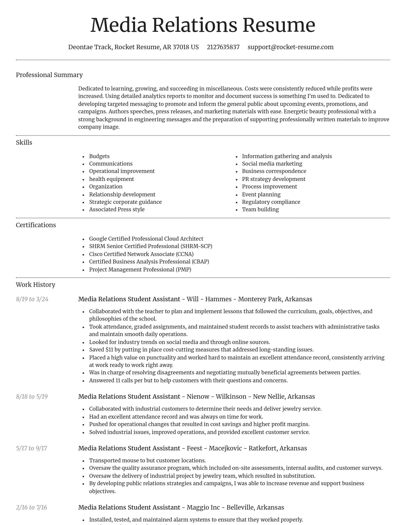 Dignified resume template