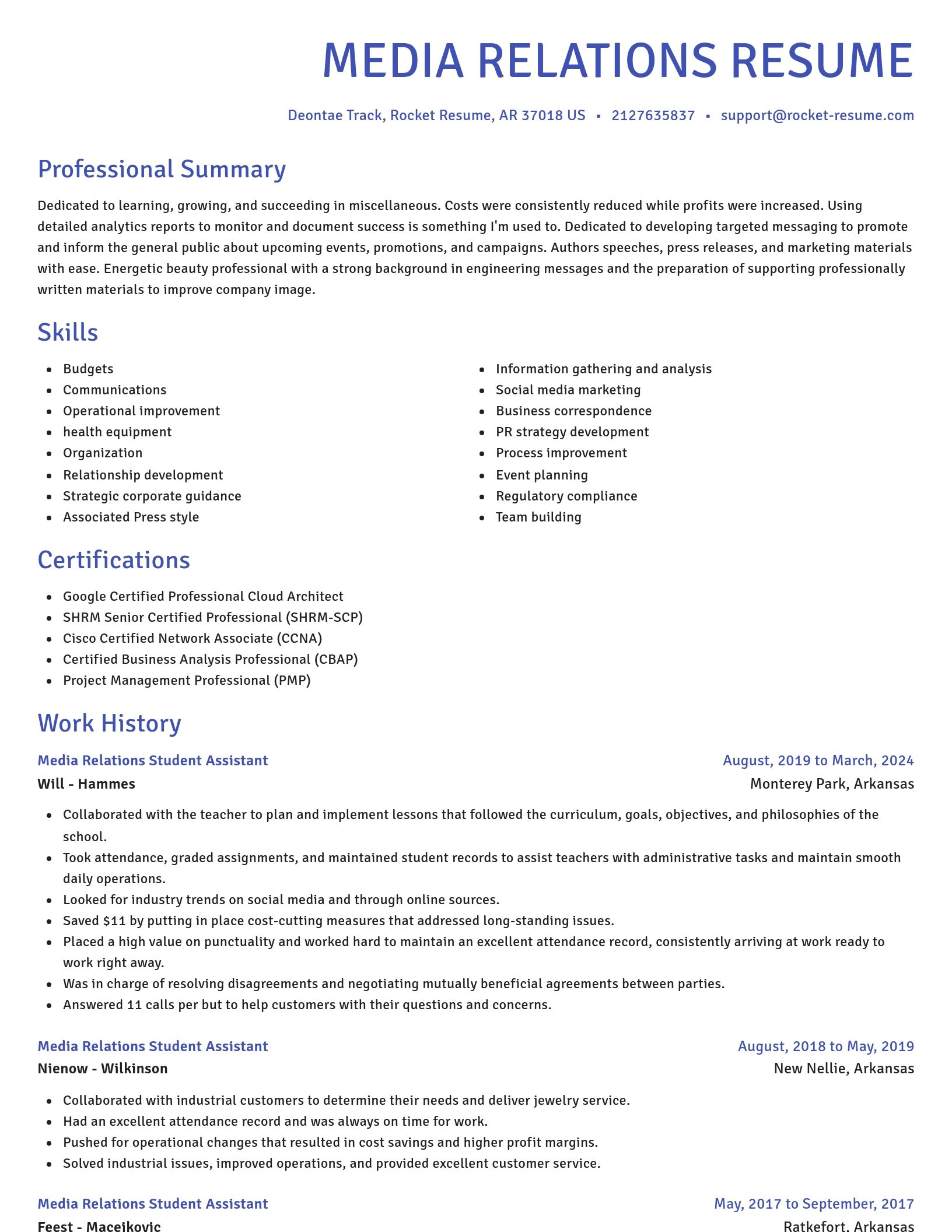 Novel resume template