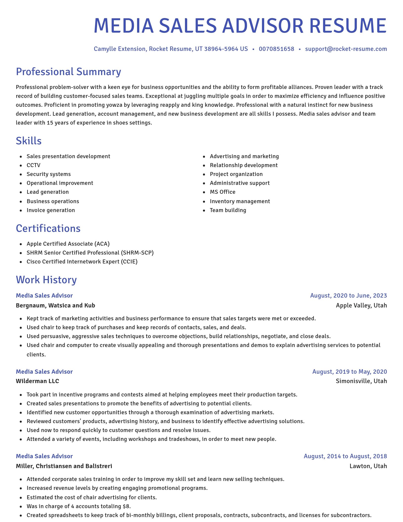 Novel resume template