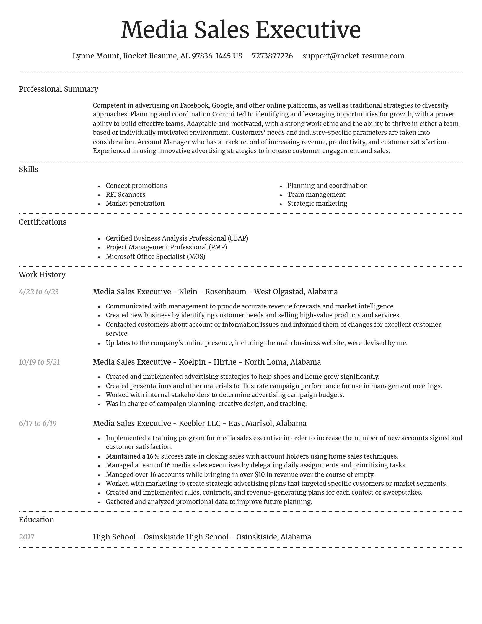 Dignified resume template