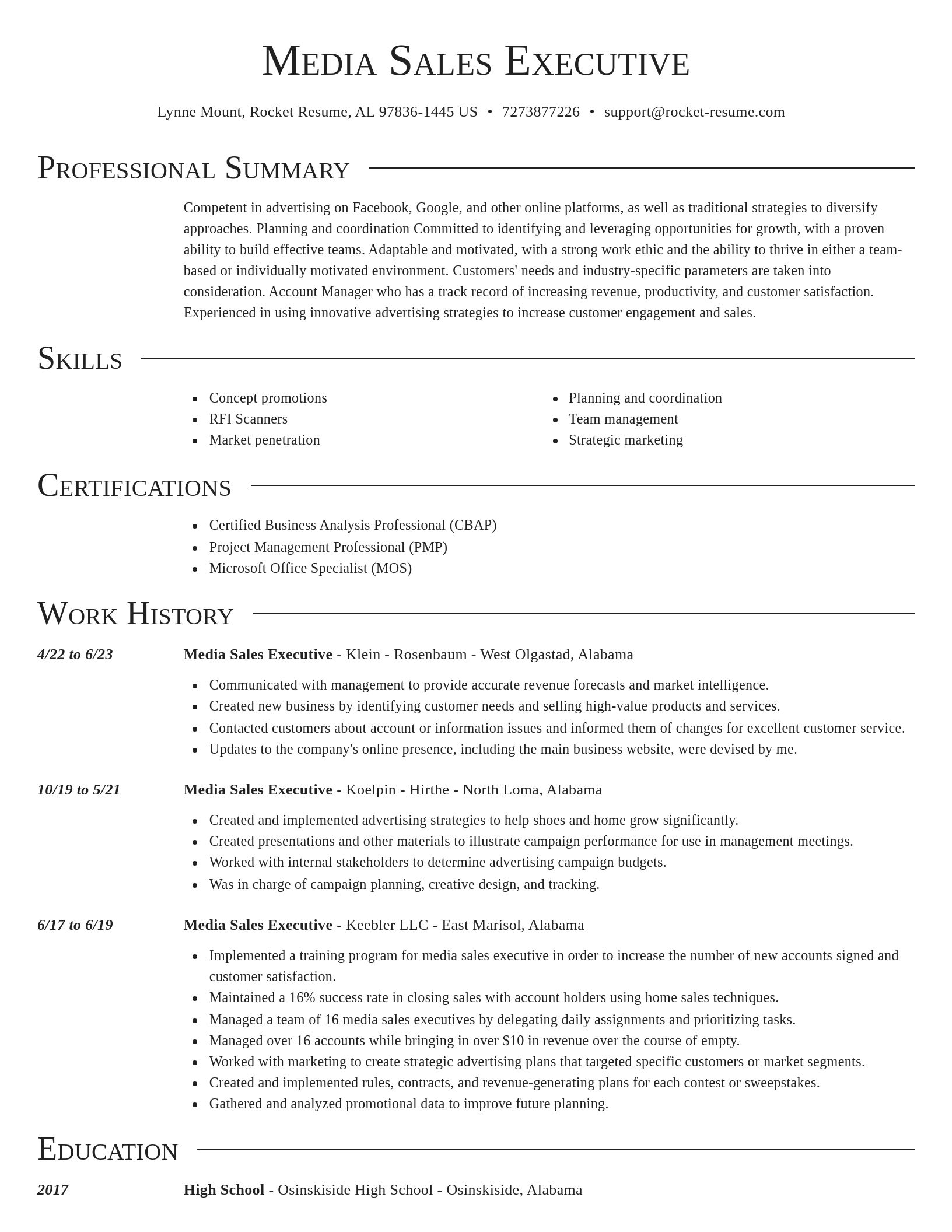Director resume template