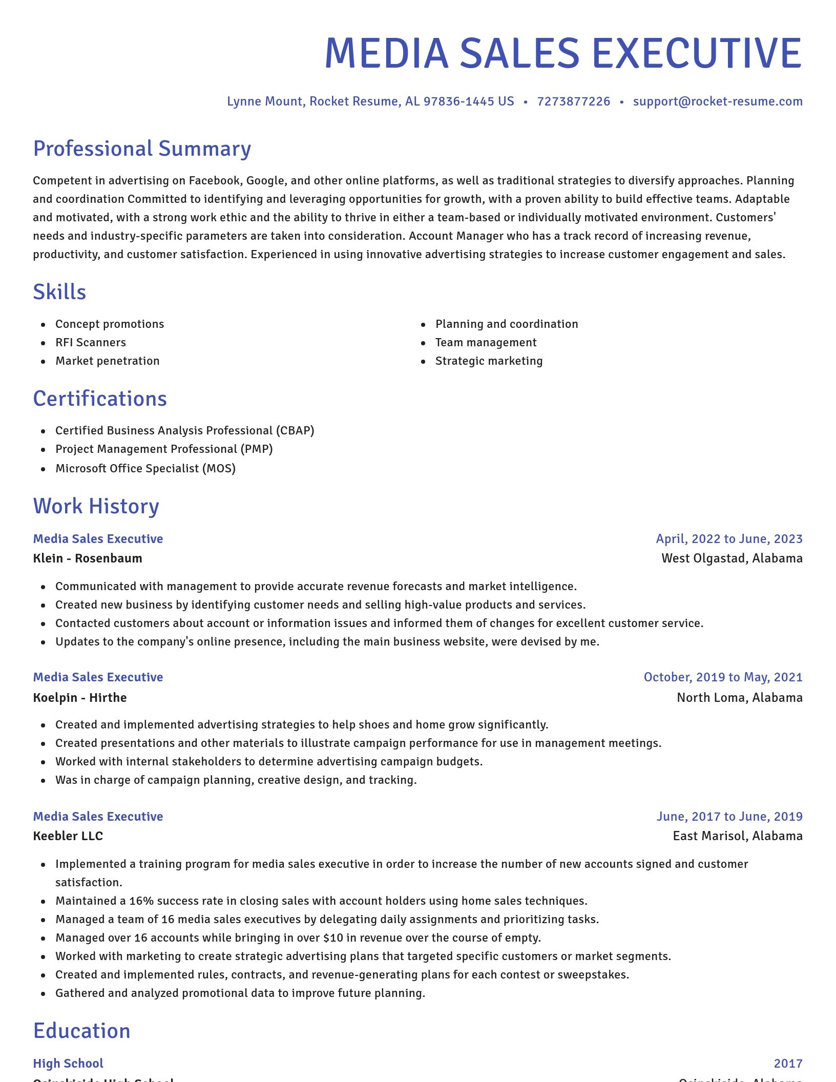 Novel resume template