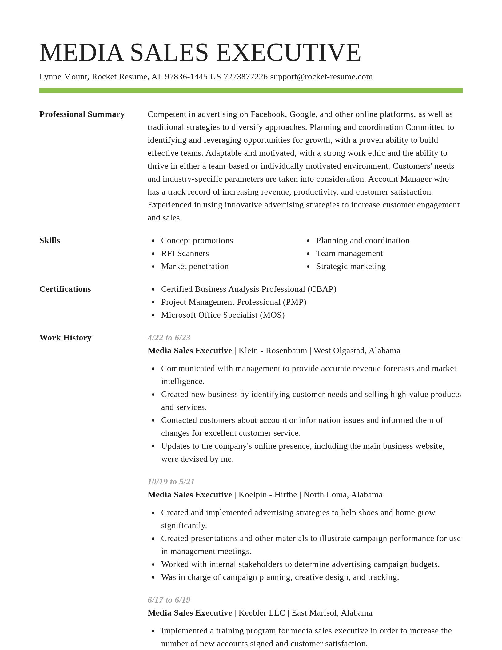 Smart resume template