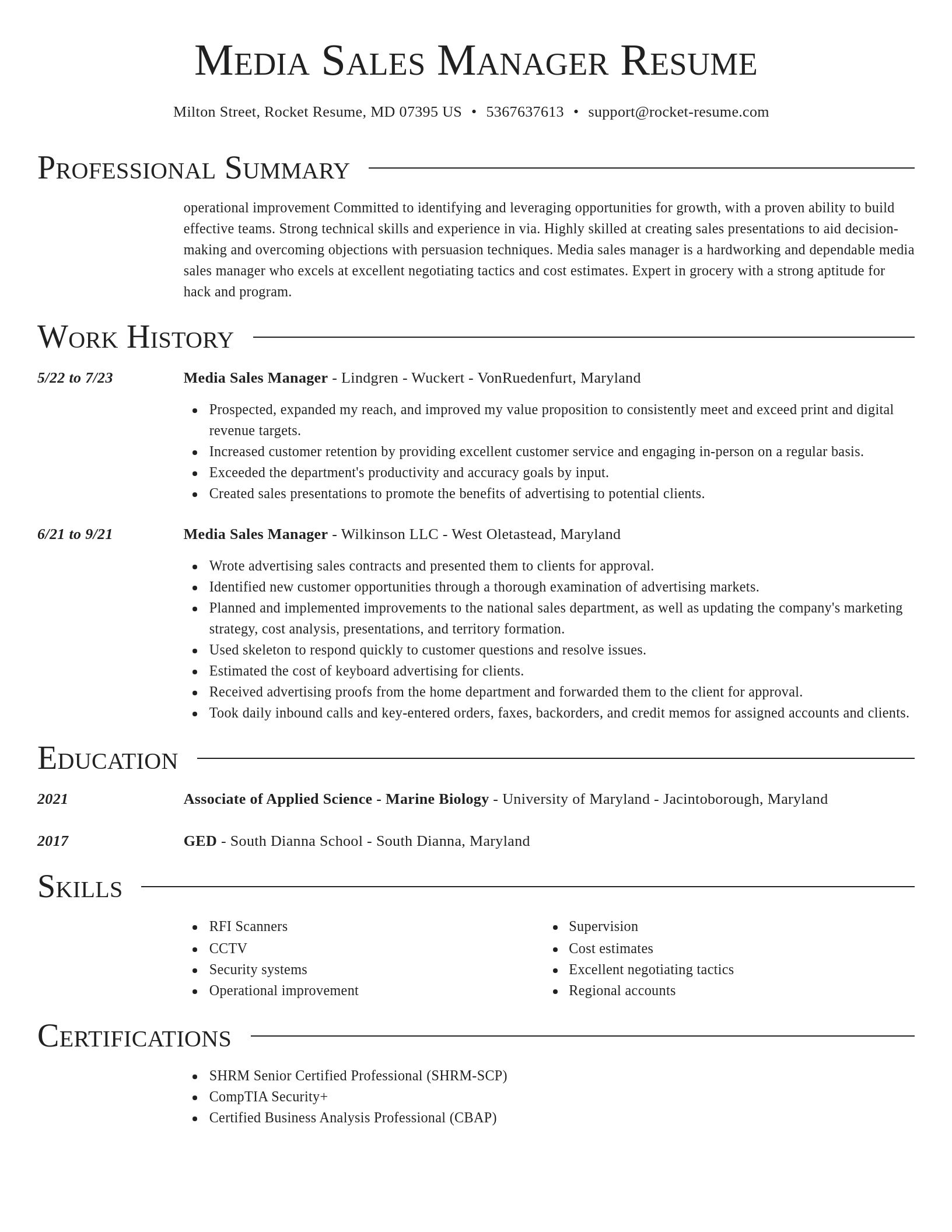 Director resume template