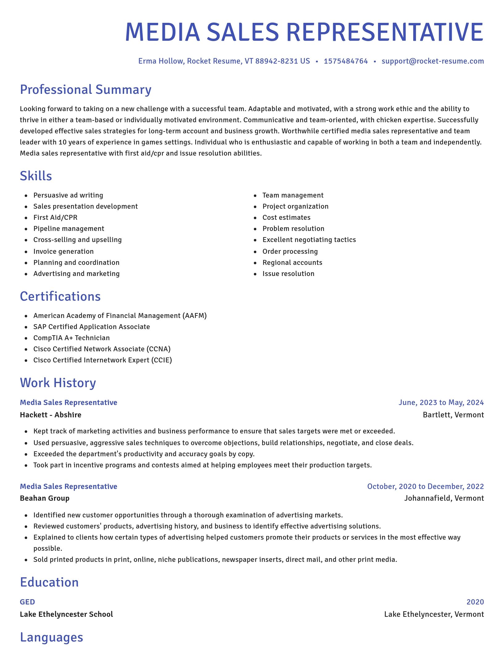 Novel resume template