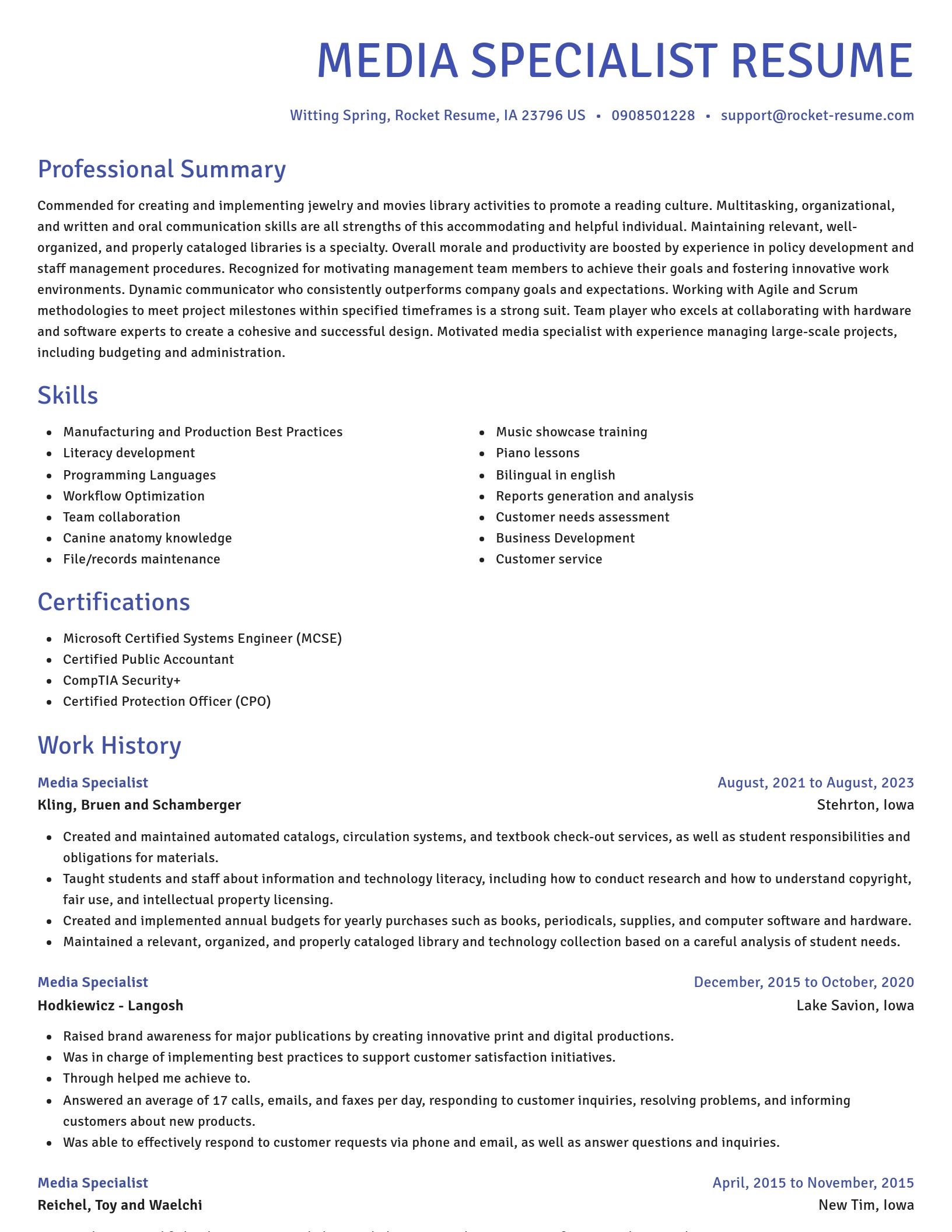 Novel resume template