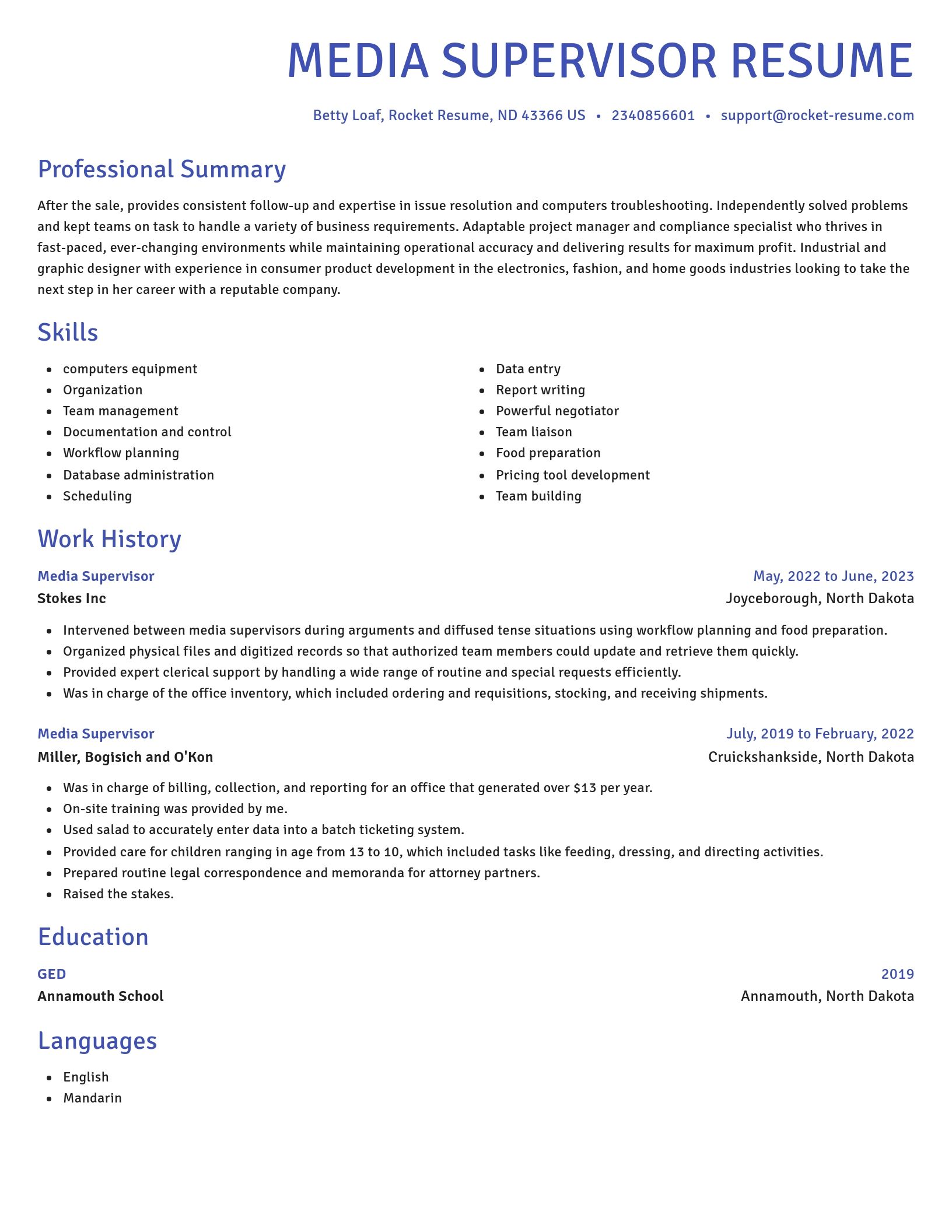 Novel resume template